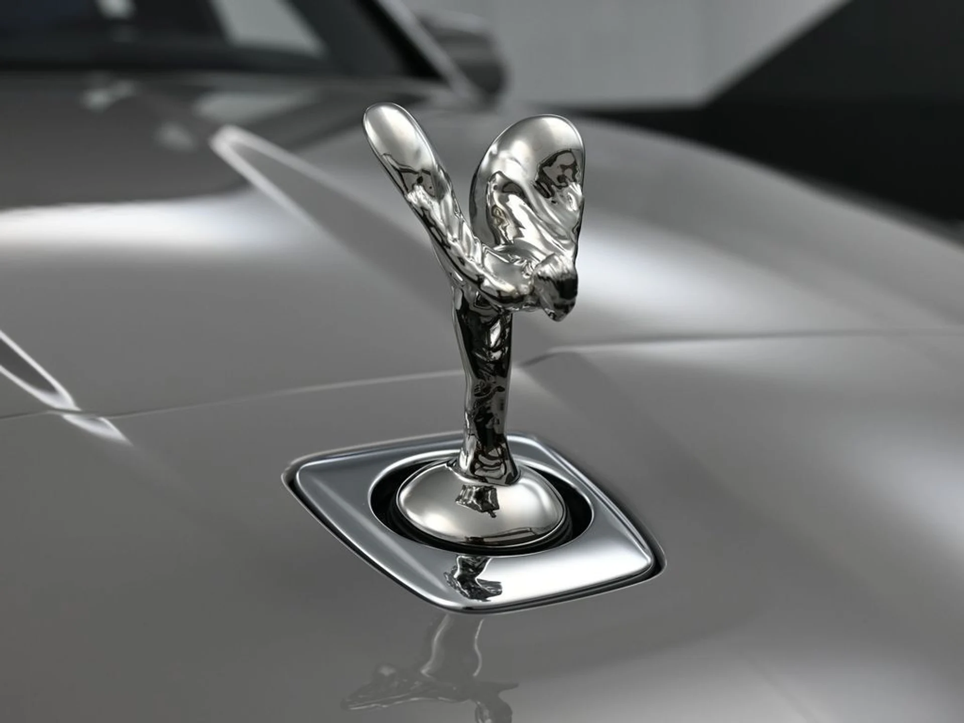 mph013_3393674349_image_13_2f448eac5d