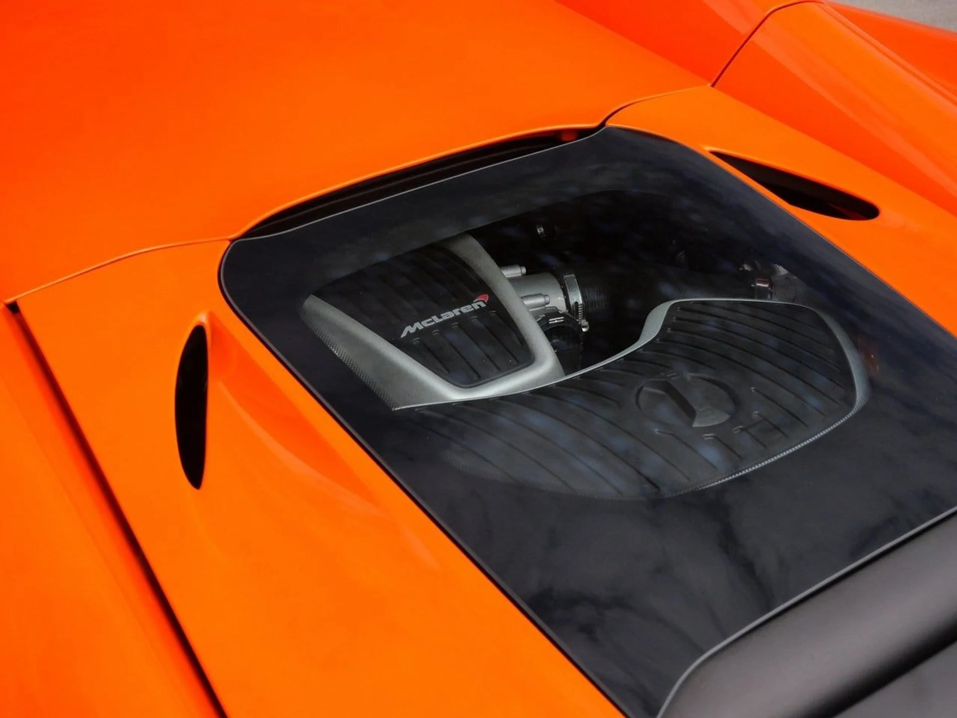 mph013_3492517058_78c5fc377699c8e1454da8af7a868276x_1faa649197