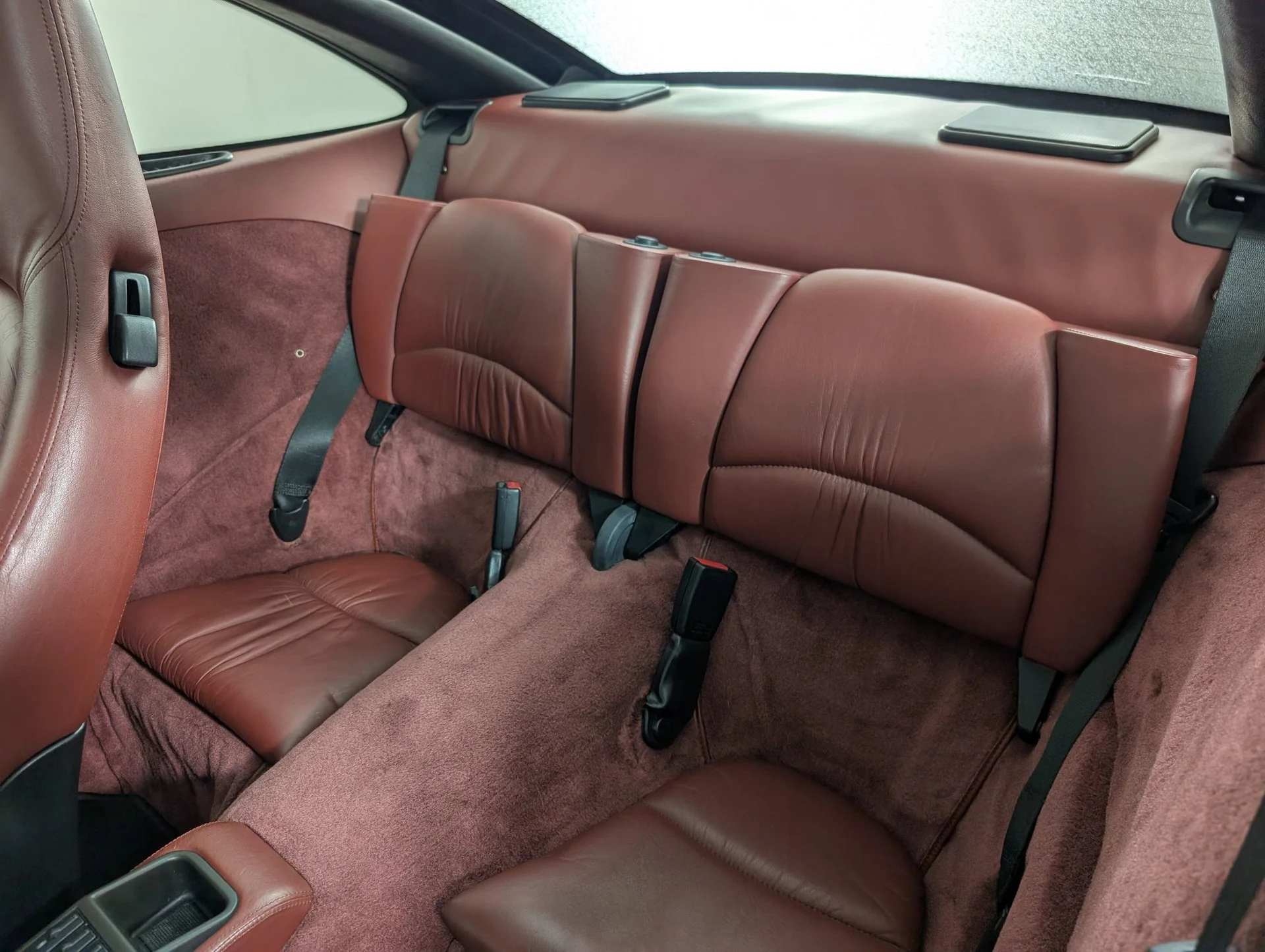 mph013_3524583509_c6829a267bf2dfb5f1be6c2d41504933x_670a25498a