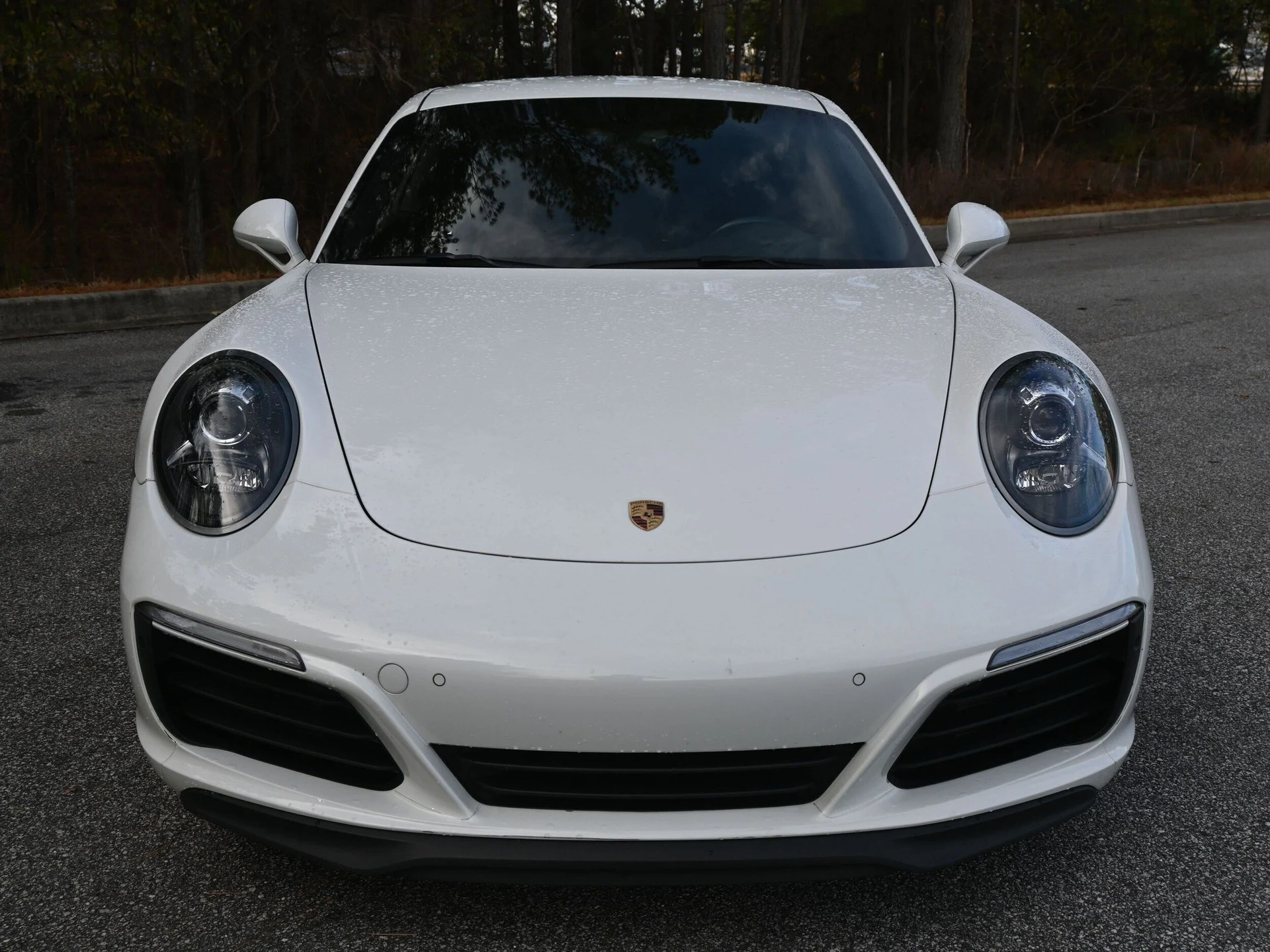 mph013_3549792072_cc2f3d5bef8bca2cb54d7ff42bcd687ax_cc6fbe29a5