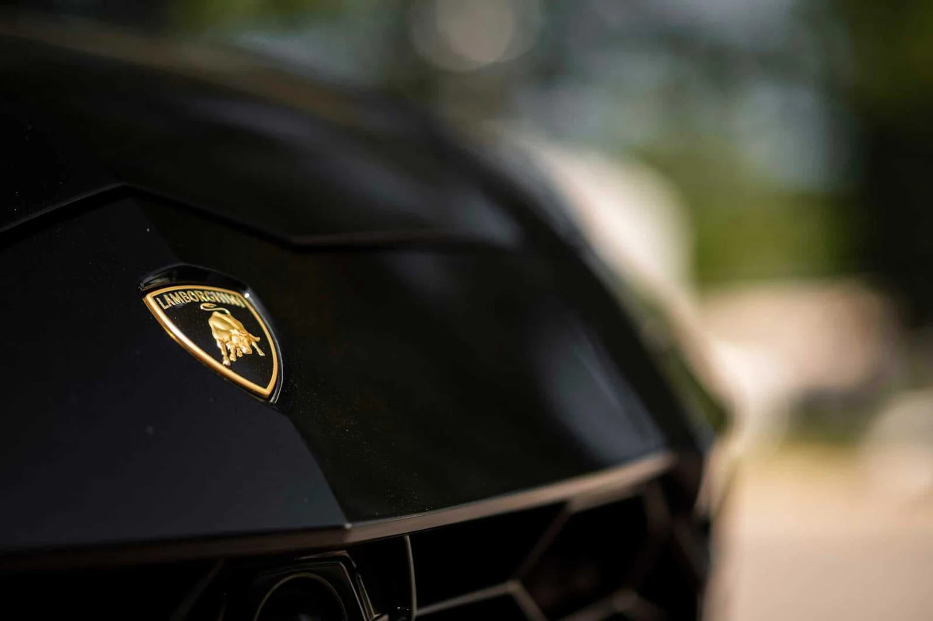 mph013_360861401_7d90e73fd6ccc7be4cb58b0a2b333c79x_7a6009ed78