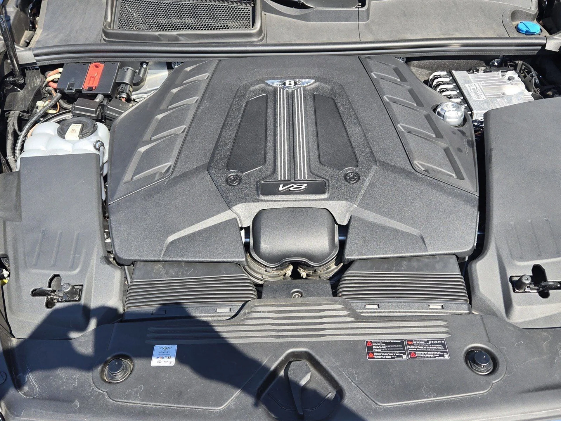 mph013_3612794240_fe3a27ccc172602a1e3865e12dd9fcd5x_963b4df2c1