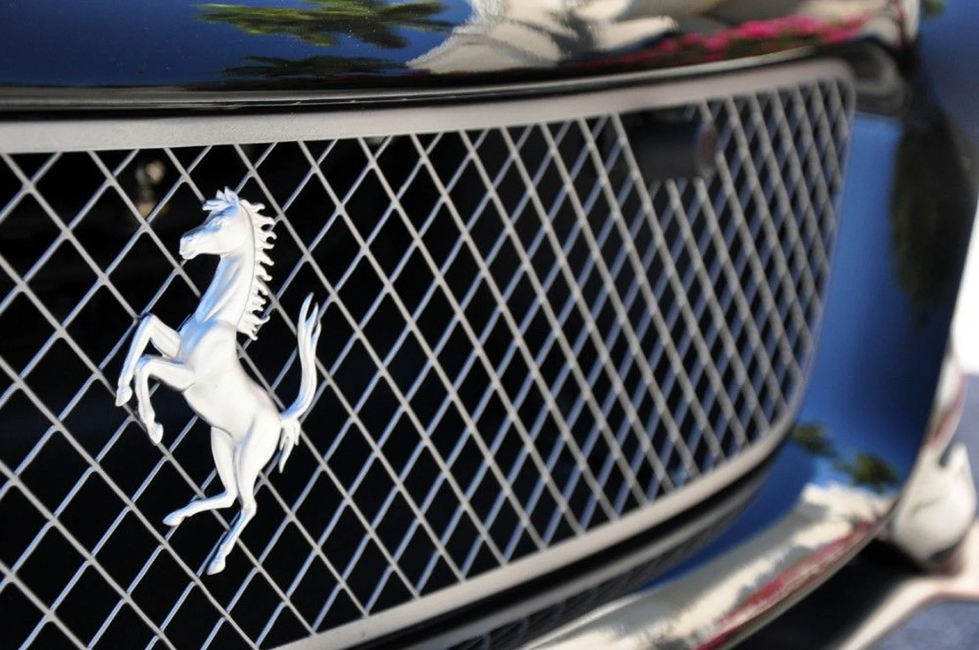 mph013_3638639588_82_p14_l_8b5e5c52a4