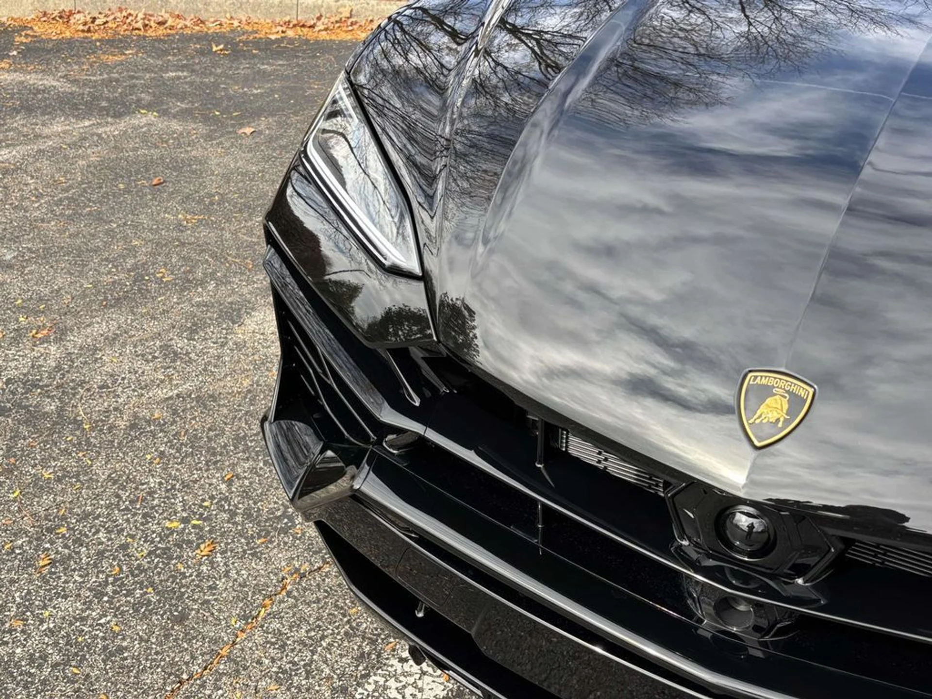 mph013_3661163534_538dcc5f0fc9645db3e9e215e0c94663x_3de0bcde47