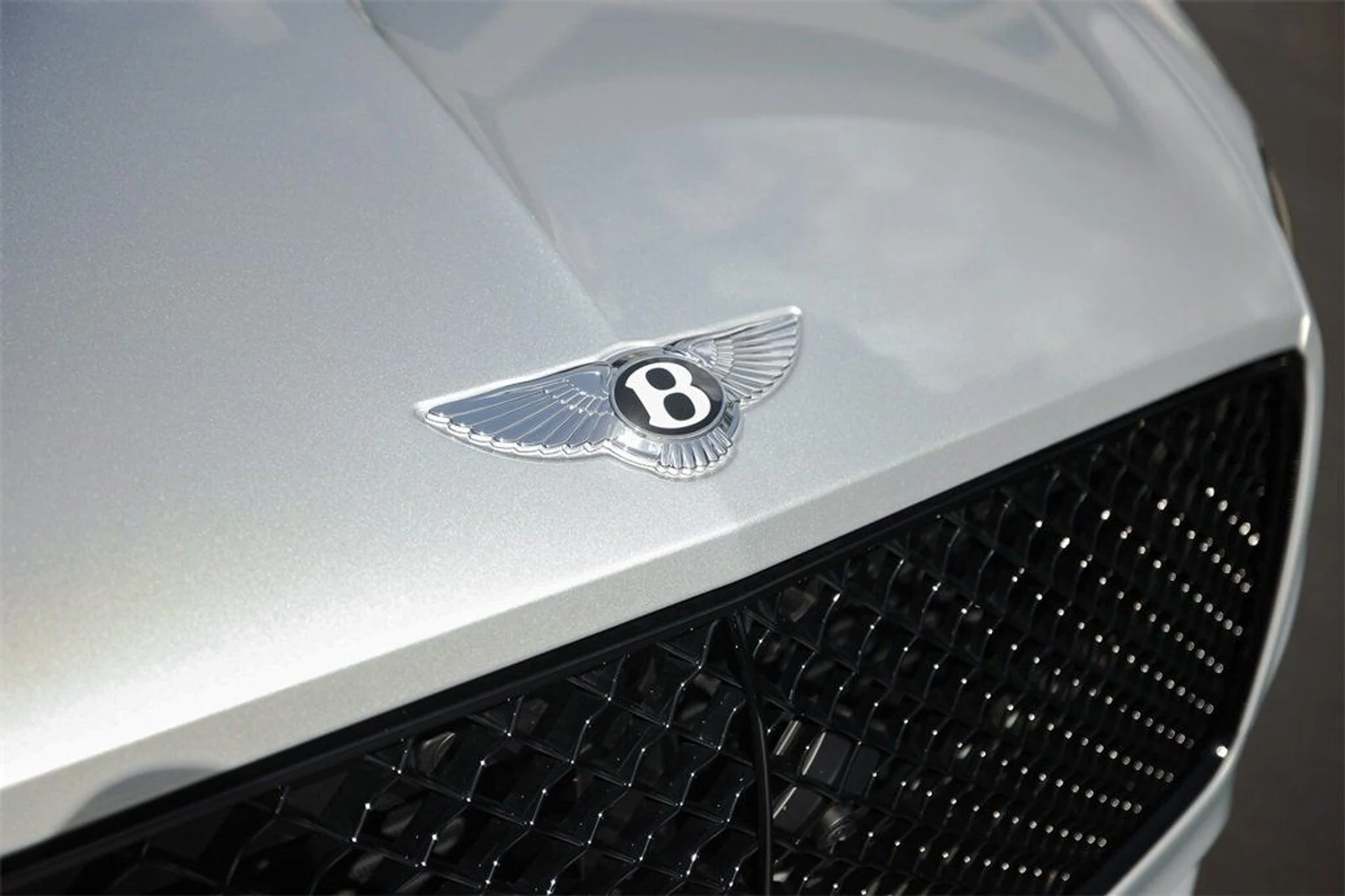 mph013_3683799031_8ae80c07645d70b79e8dfccfe3c3e1c0_397ca6141b