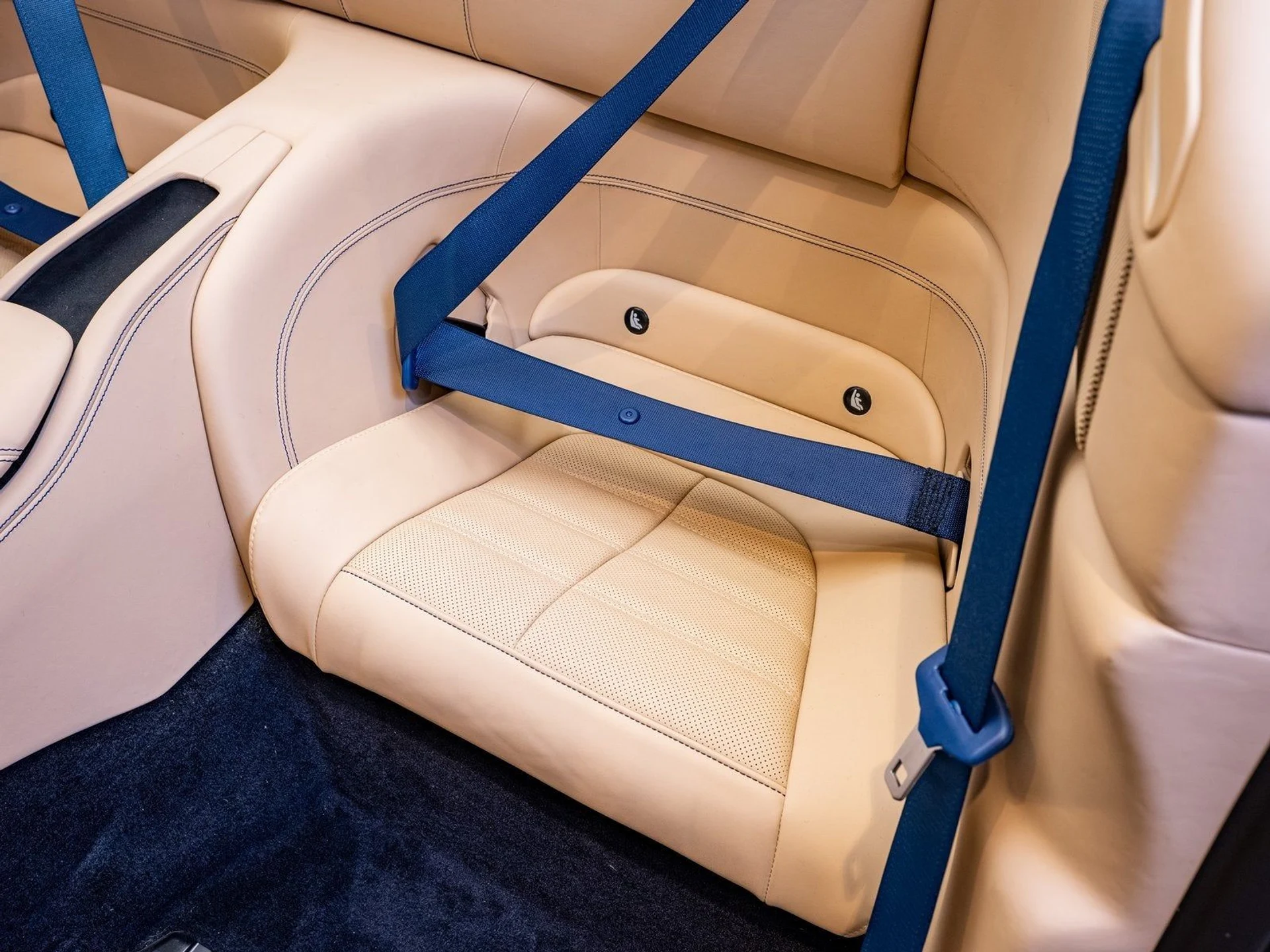 mph013_3765390769_14_06c2bff87b