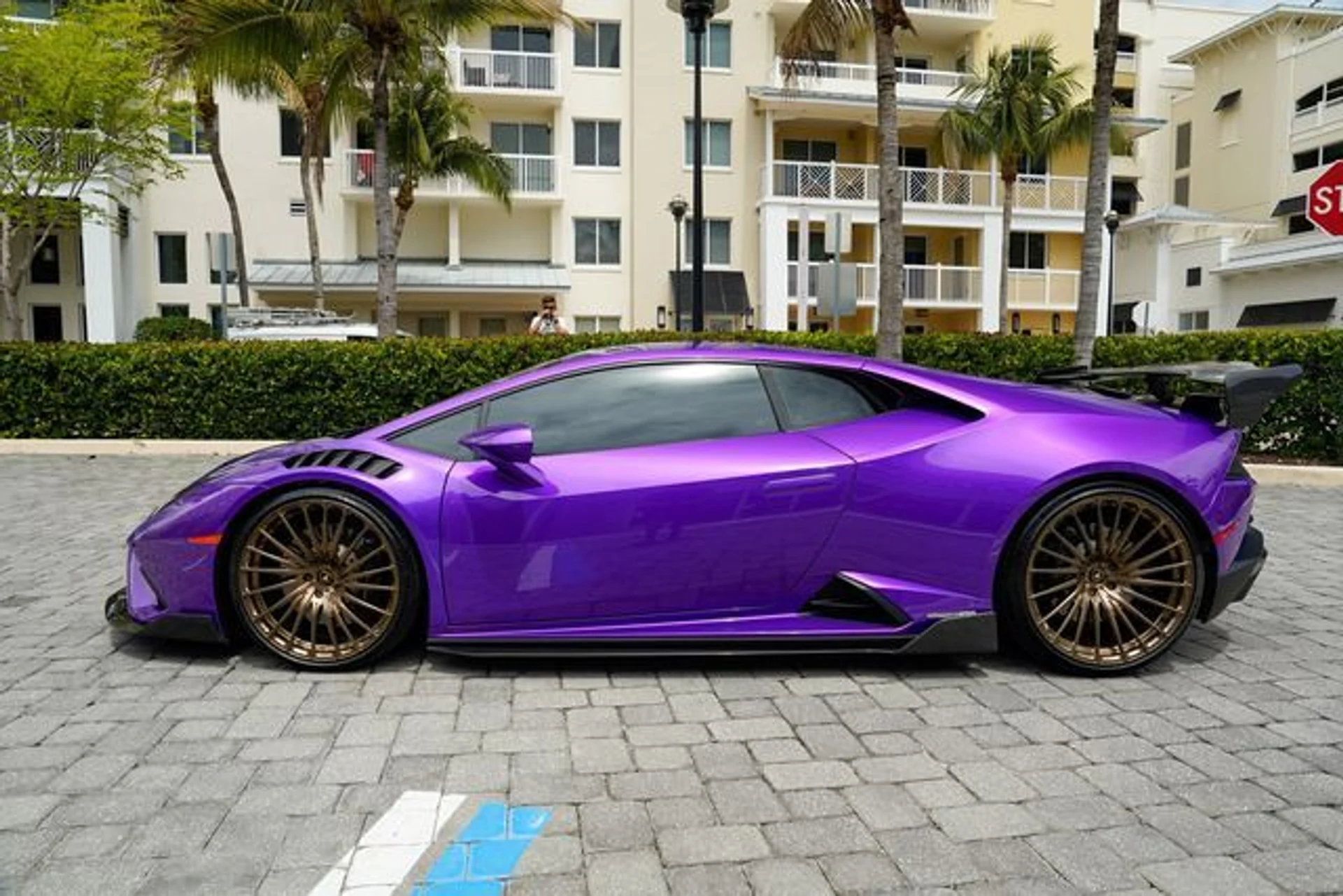 mph013_3771745581_23012204_14_4b9fa1509c