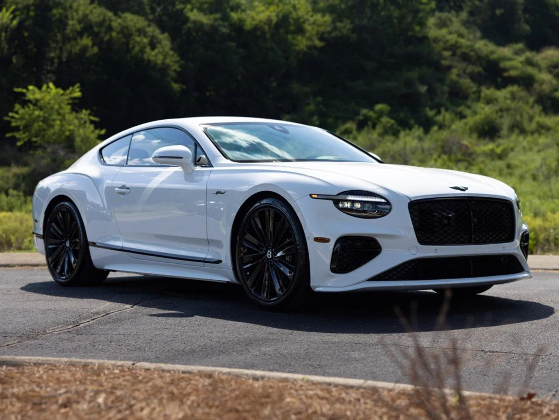 mph013_3837241542_444557827_689721e87845ae44b1fbf26e_5b80633e0f