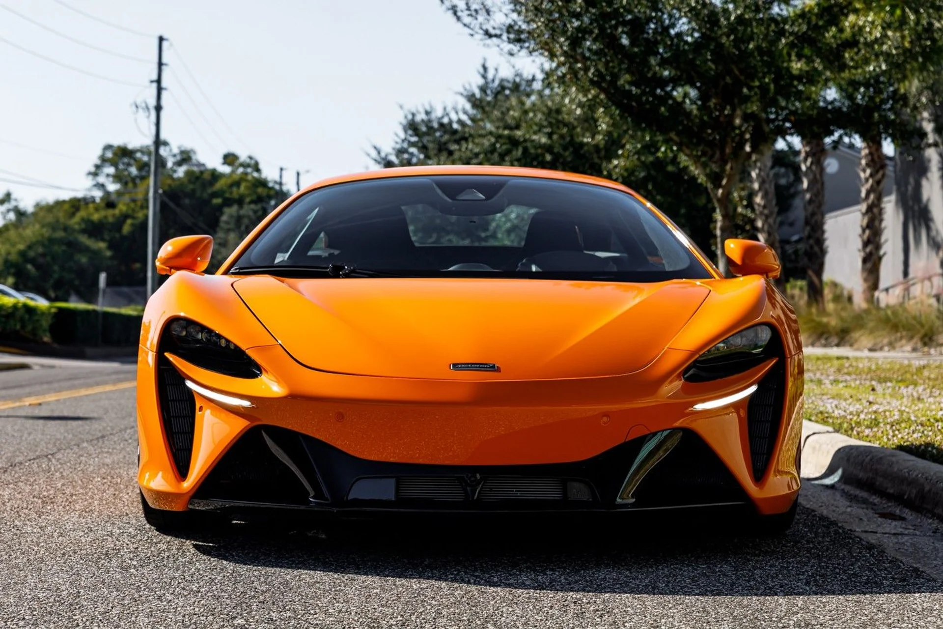 mph013_3864118605_617_p14_l_fa534282b7