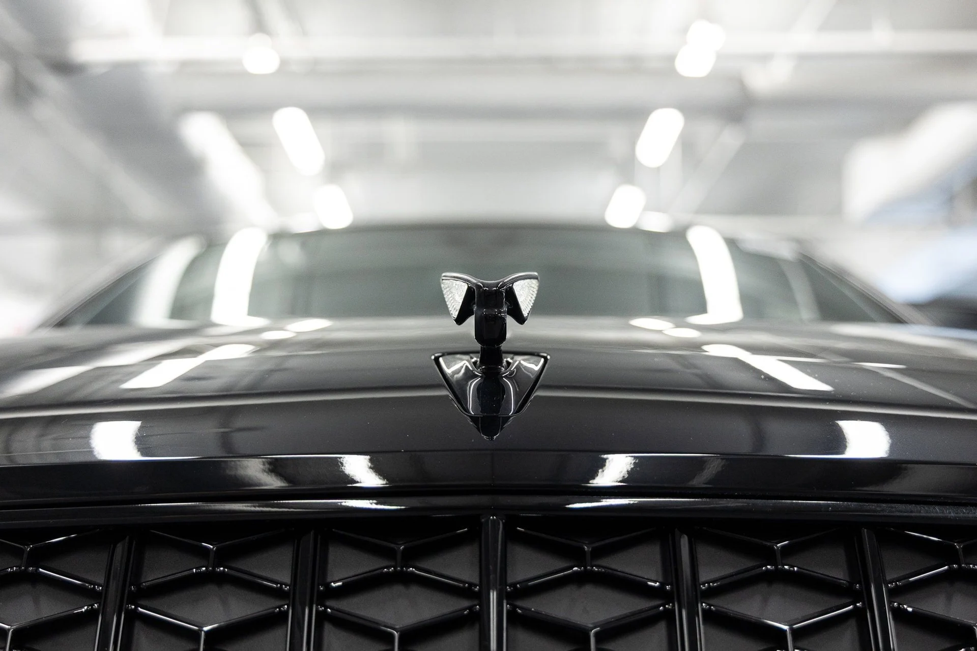 mph013_386646513_91b75f4e302acf1f3fead37d082e60b0x_2274697ce9