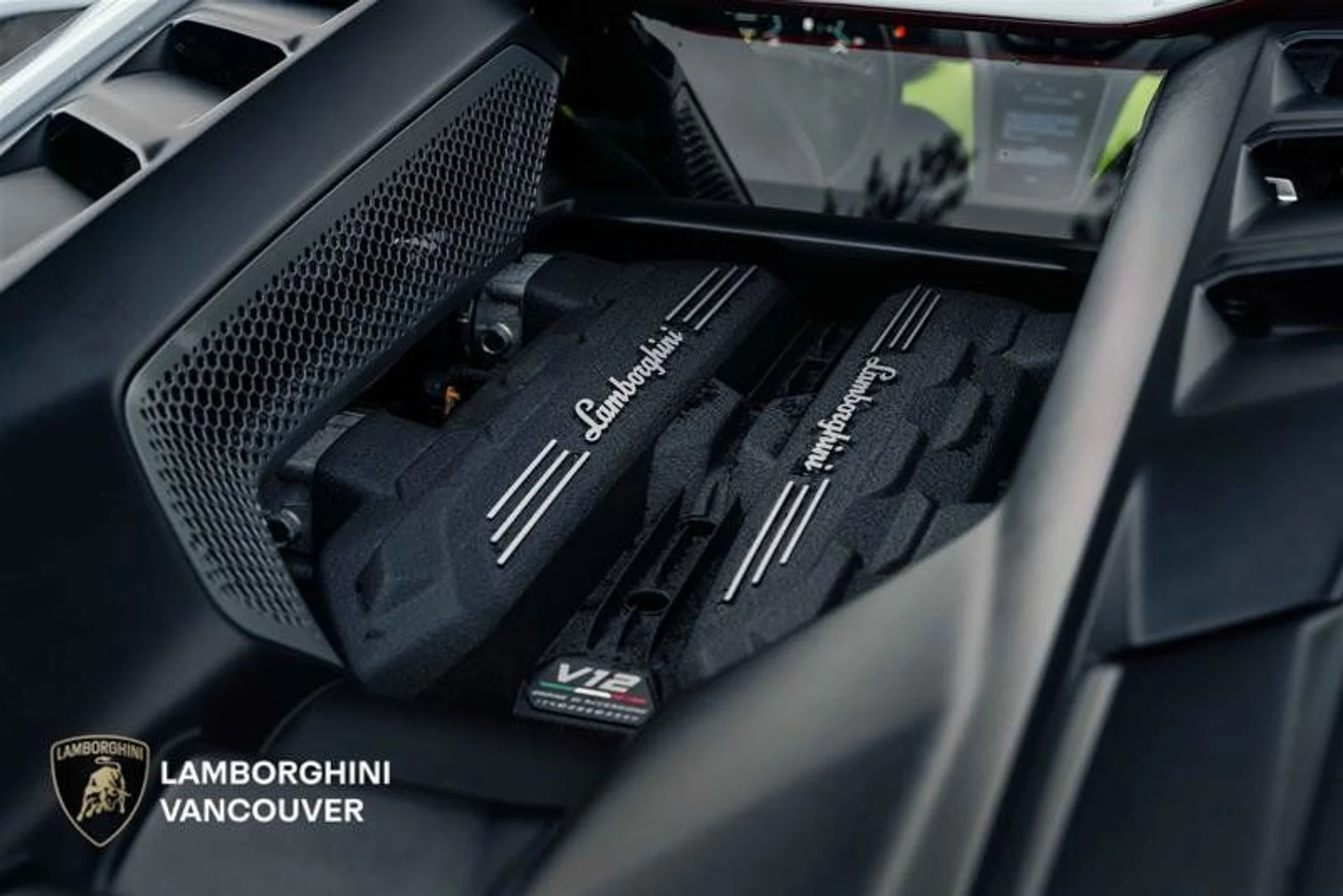 mph013_3873570910_37687978_06829_fa2w5gh0_42987081e6