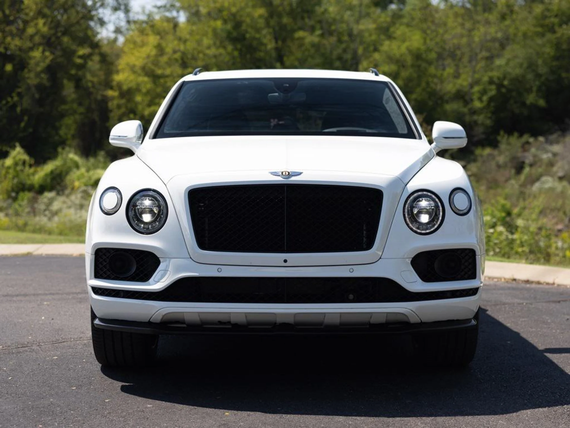 mph013_3874068406_453535946_68c545ac866a66fdd6c4474a_4b70a2474b