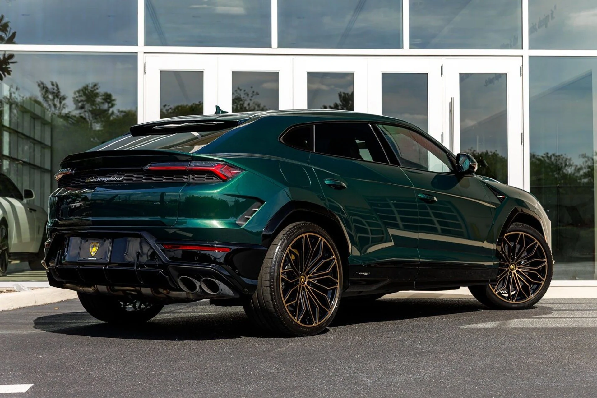 mph013_3881133354_df4983b8ba82a6feac41313ed989cf9dx_4062df1e35