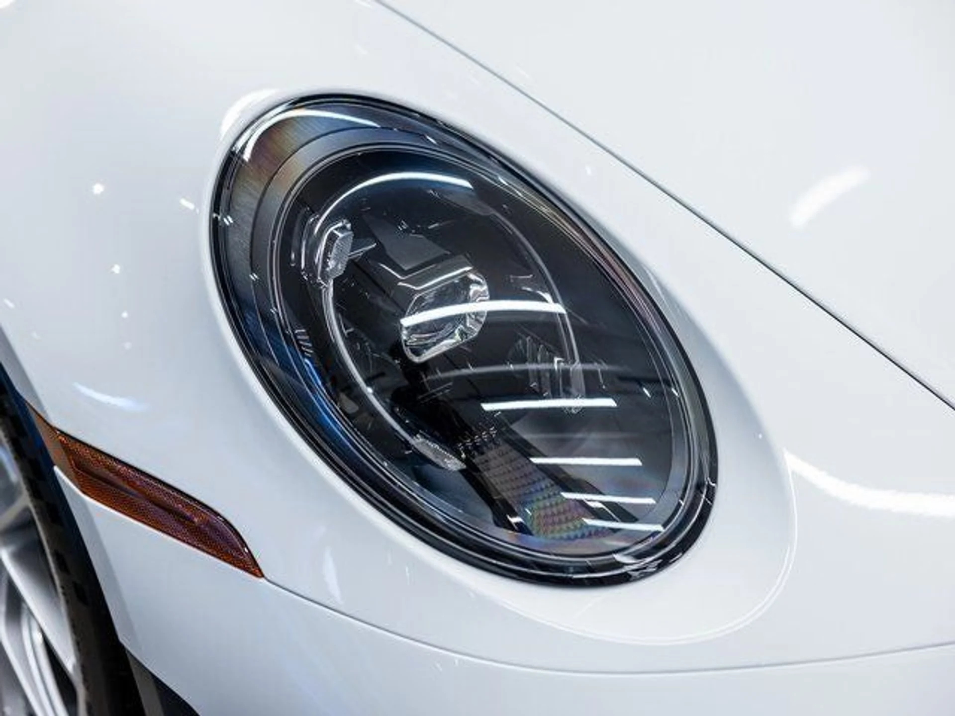 mph013_3906495776_14_1173e59546