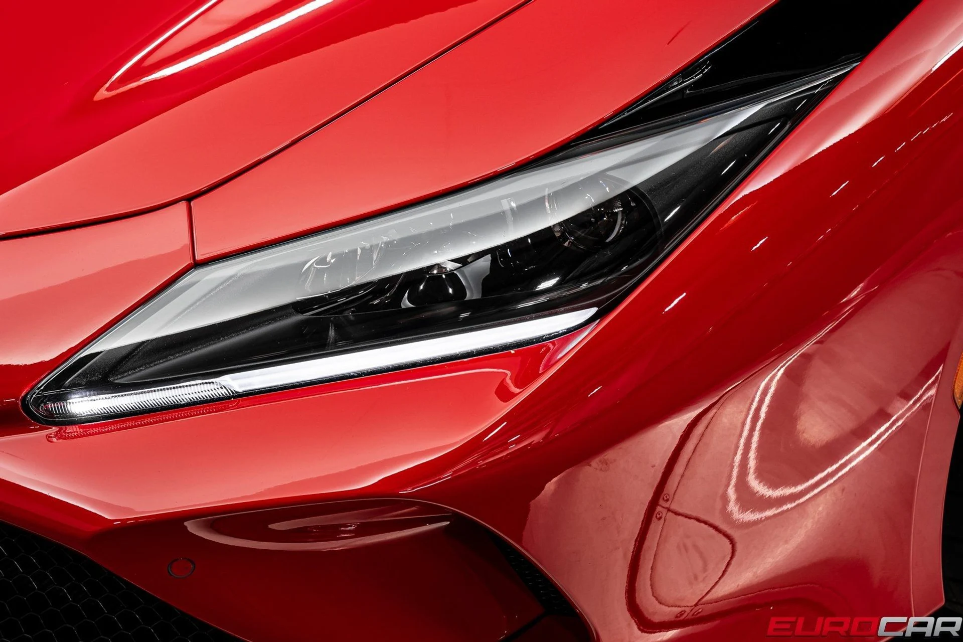 mph013_3959883340_image_14_580199d05b