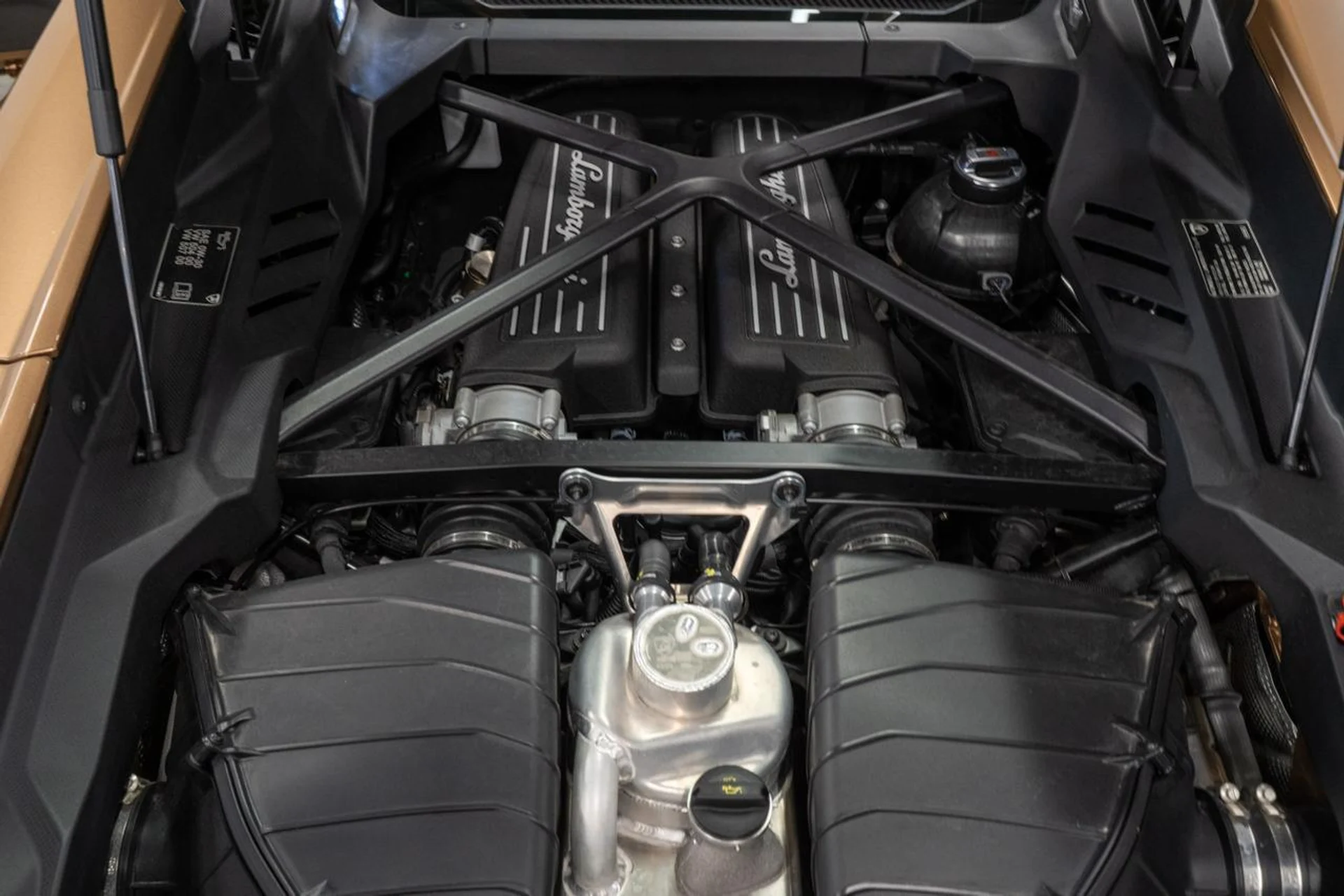 mph013_4049934153_8751f68daae38be91178cefa48f9ffdd_dccf9472e3