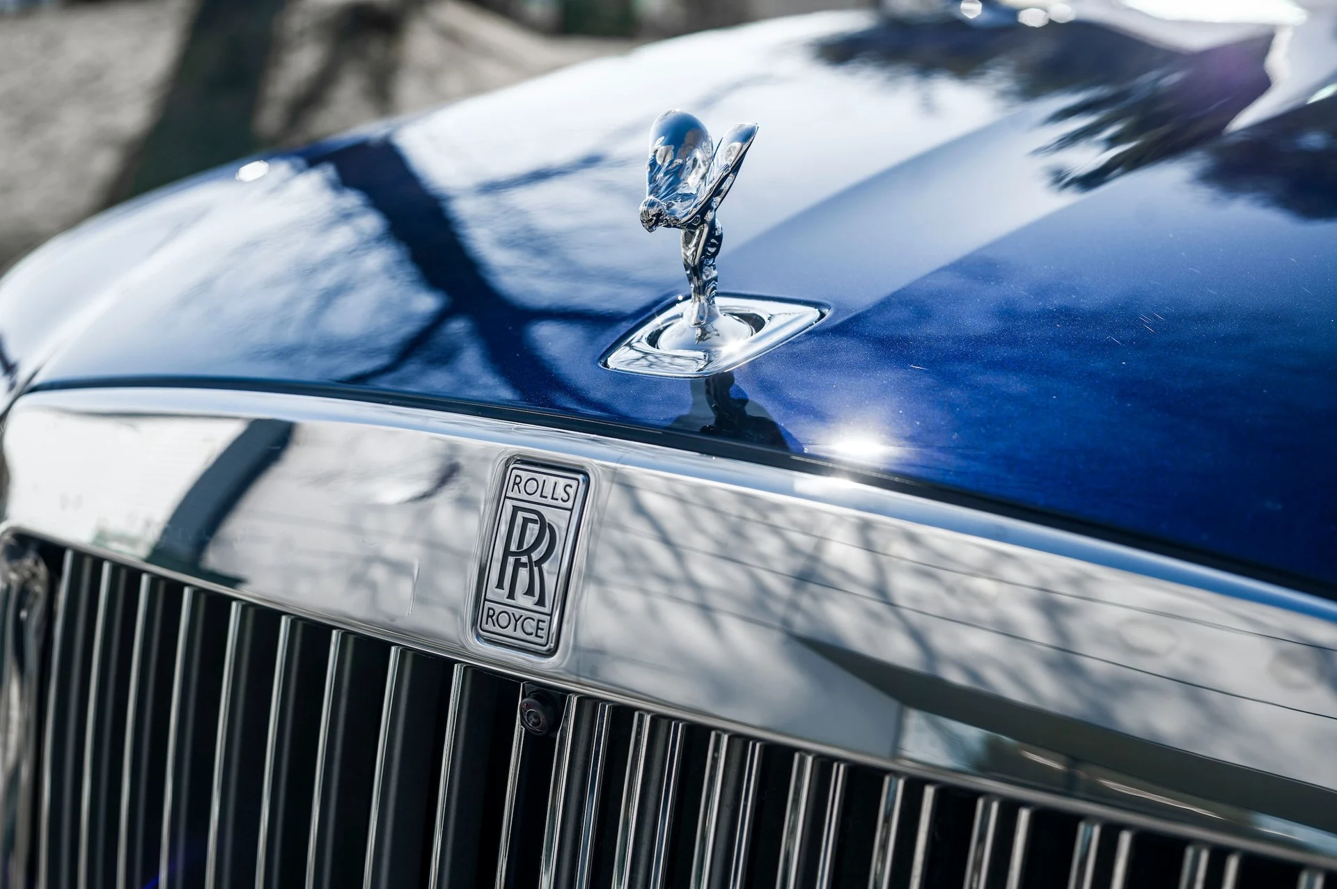 mph013_4055071383_153f9fc009e04ba6ab5b72157b61722e_4b01b5fcfa