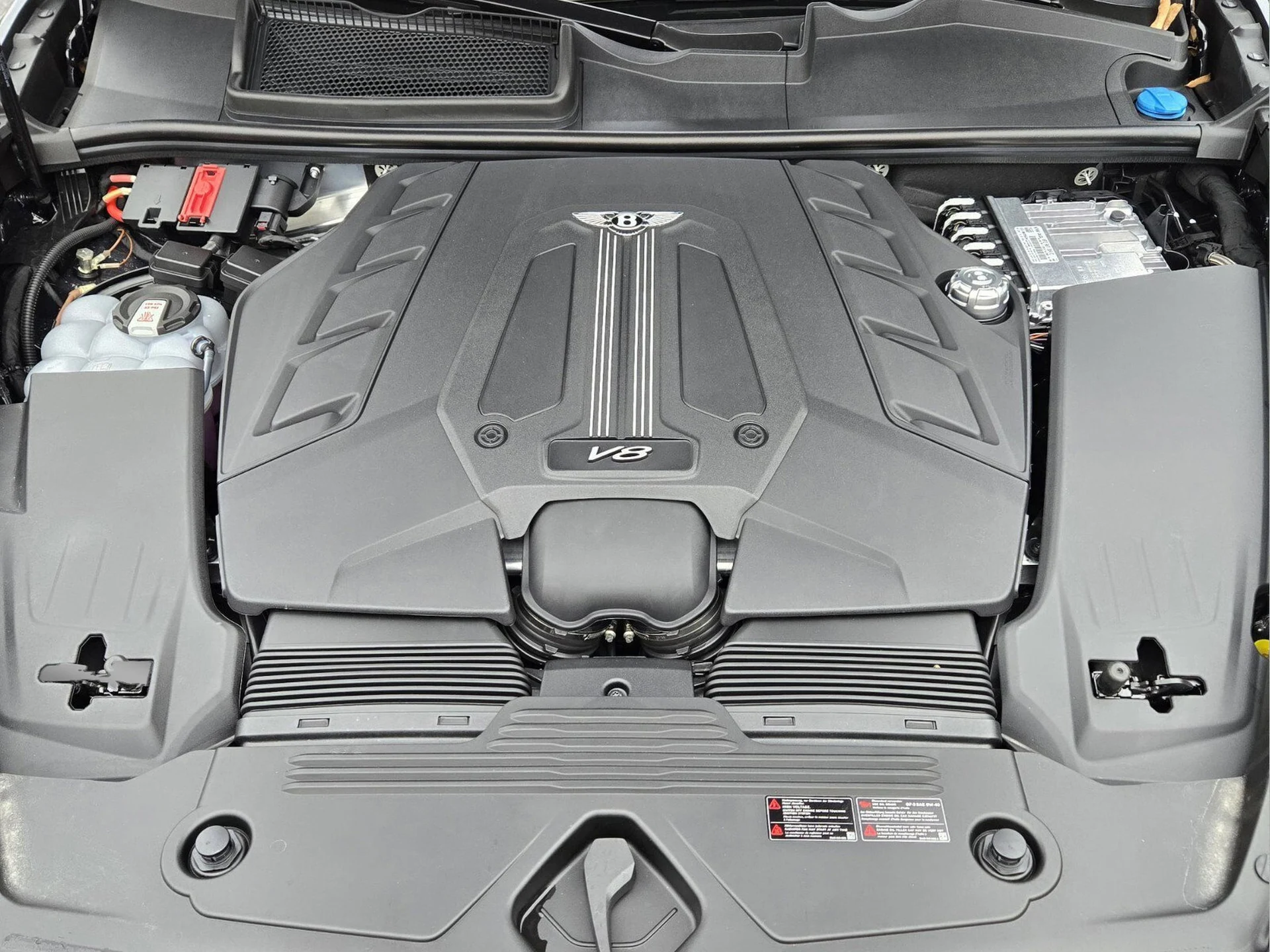 mph013_4076383291_cf1705938c7dcdc7d9e42cc284590d4ax_9592df064b