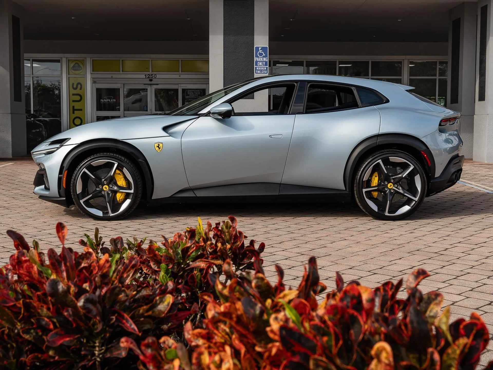 mph013_4111078810_Used_2025_Ferrari_Purosangue_AWD_1768385478_8e3f40cc11