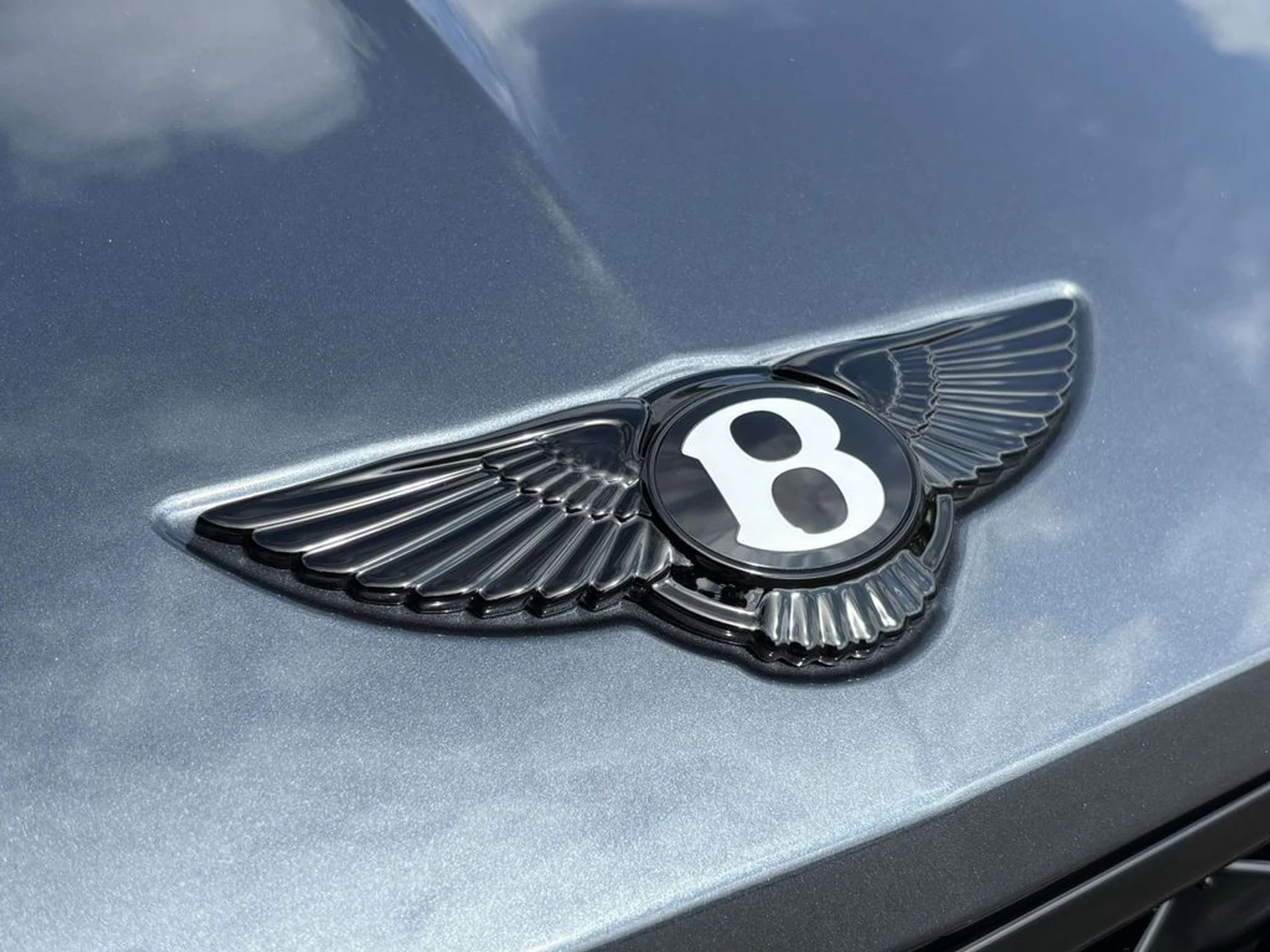 mph013_4125423296_bb26e52cb02b27debc99a3ea38bc9370x_ddbb1fc149