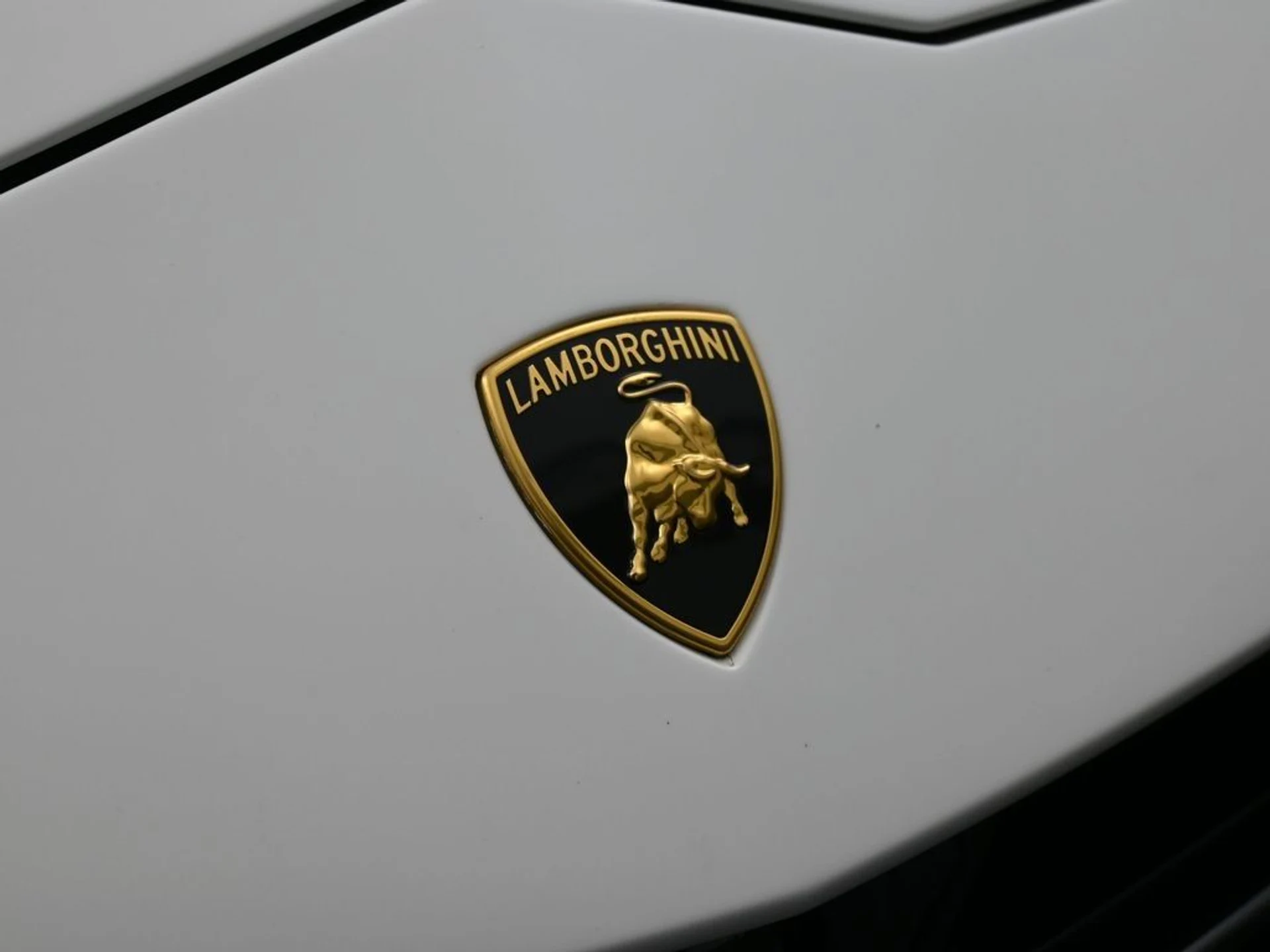 mph013_4154749055_image_13_0f069f7ec7