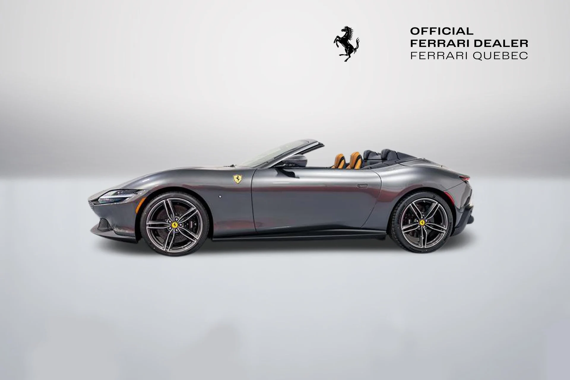 mph013_4197341672_6439941c84ac45e8b8010e8c69b5bc18_a284773e6d