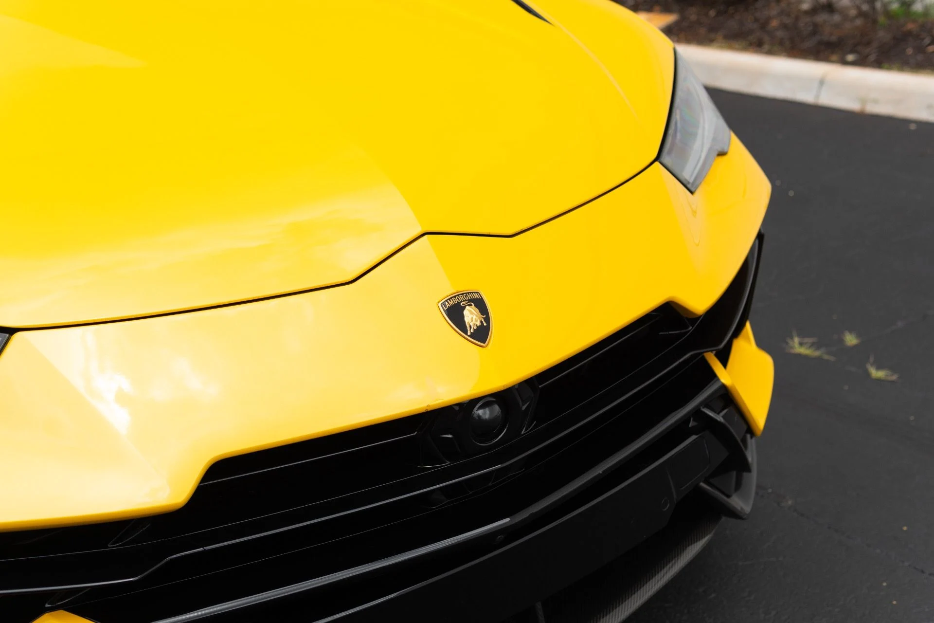 mph013_4204126498_Used_2024_Lamborghini_Urus_Performante_1773952296_d90013ce66