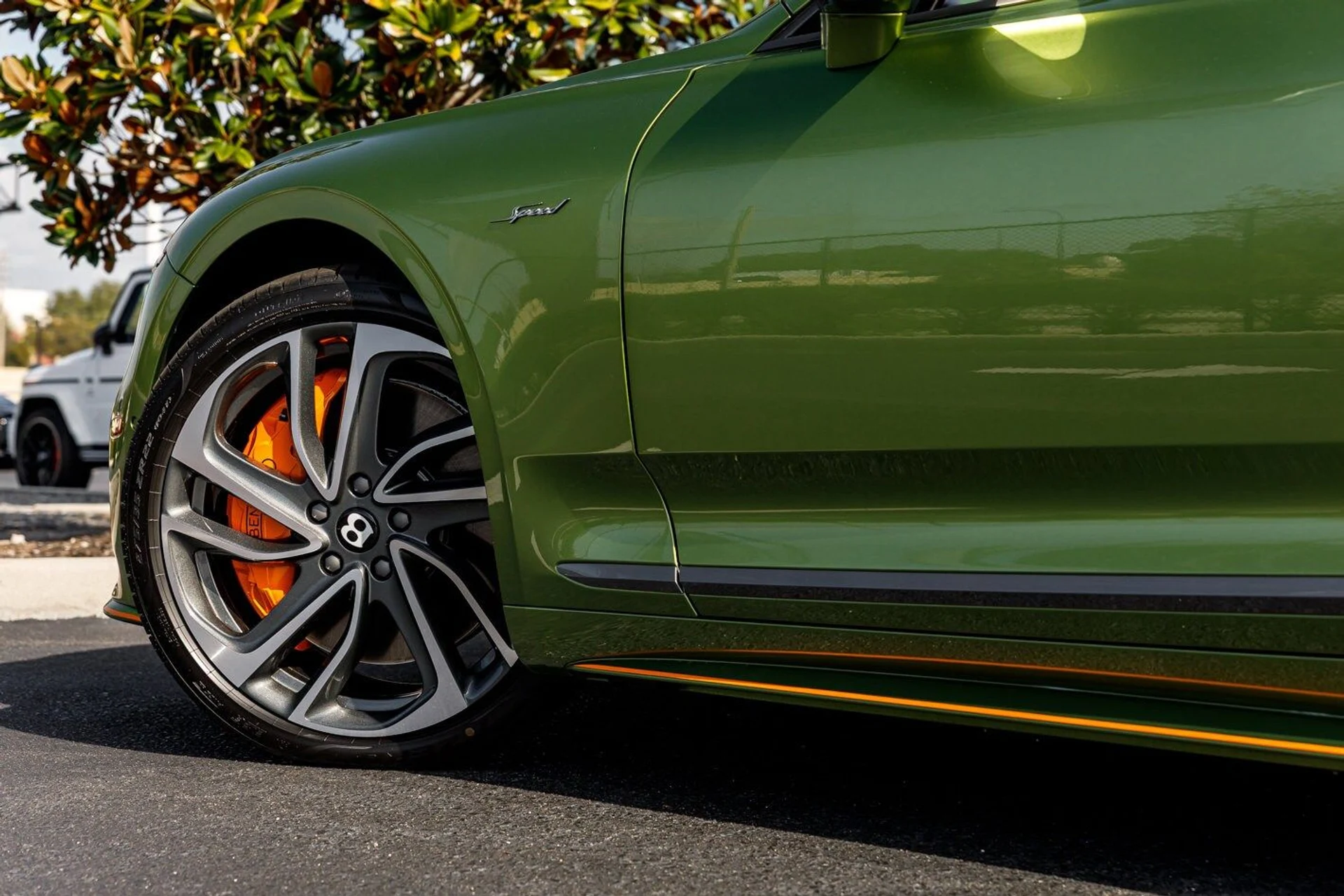 mph013_4250218190_e7242d974870ad2aa05fb1afe889c629x_e6d2c457f3