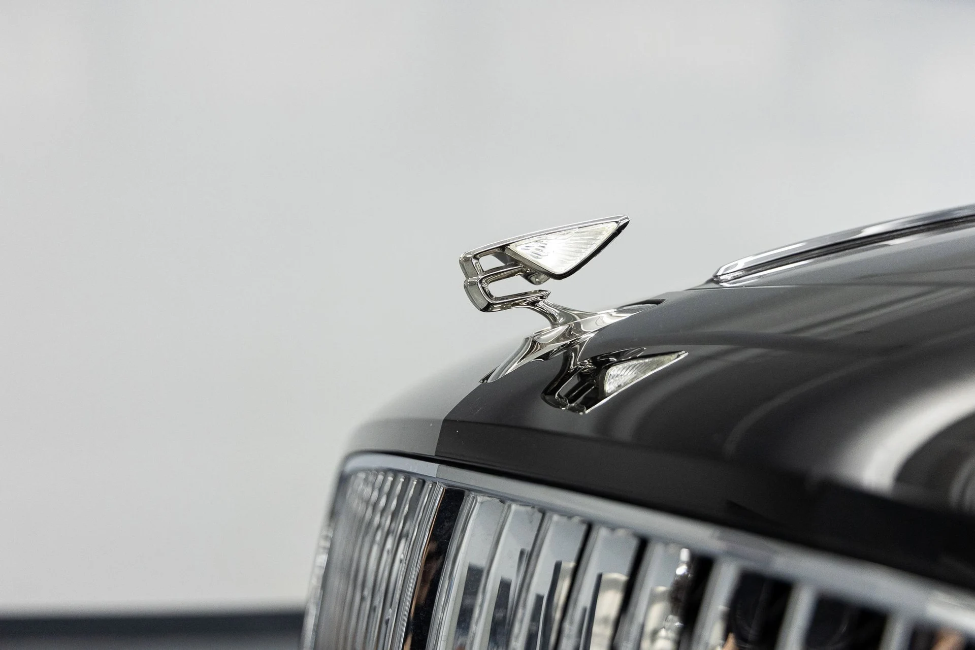 mph013_4274622868_9c5101629592ded9b5715783529fa4bax_b1827e6ec4