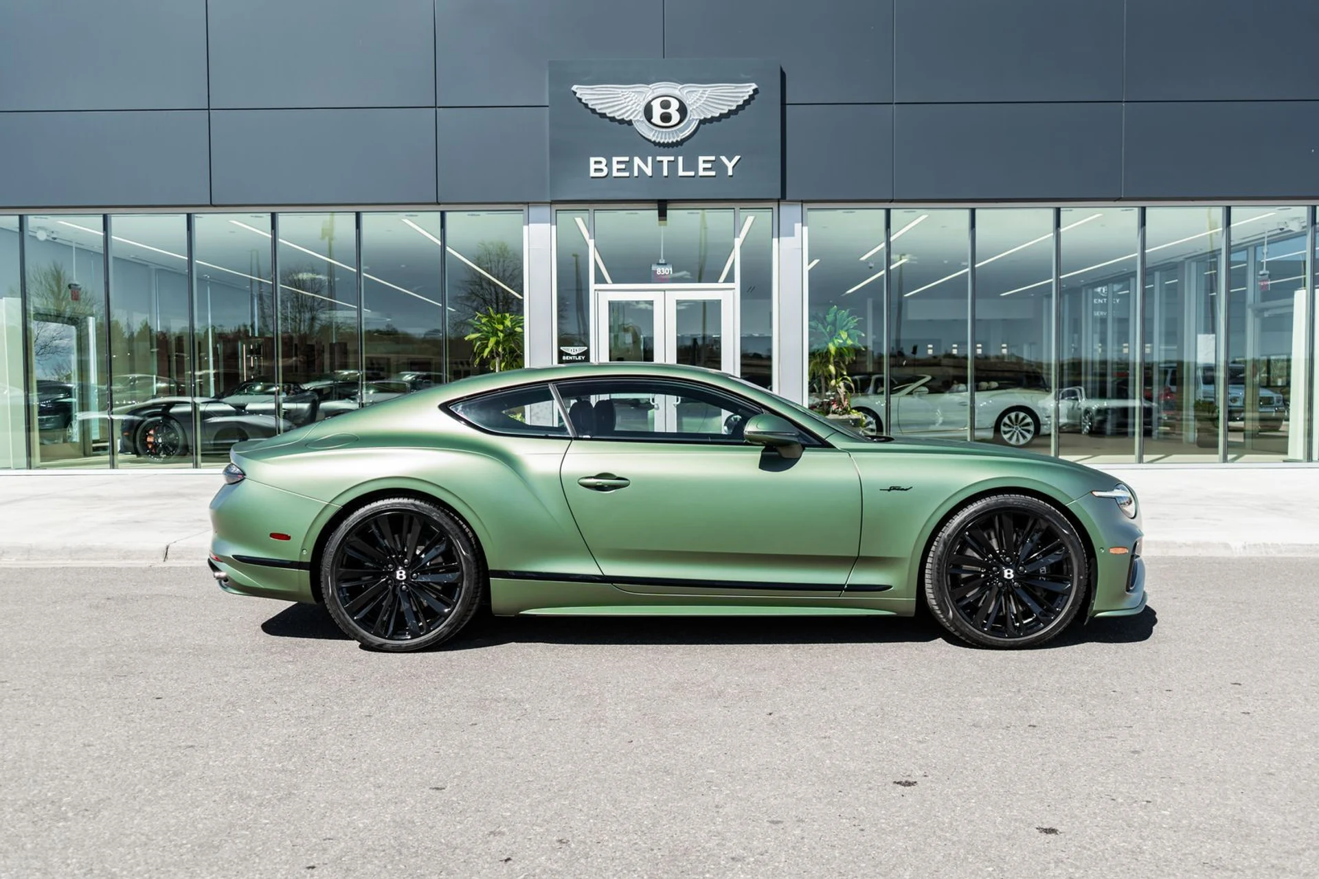 mph013_4276522464_4e8c93c0_4683_46c8_8c55_84efba75e554_f23556e87b