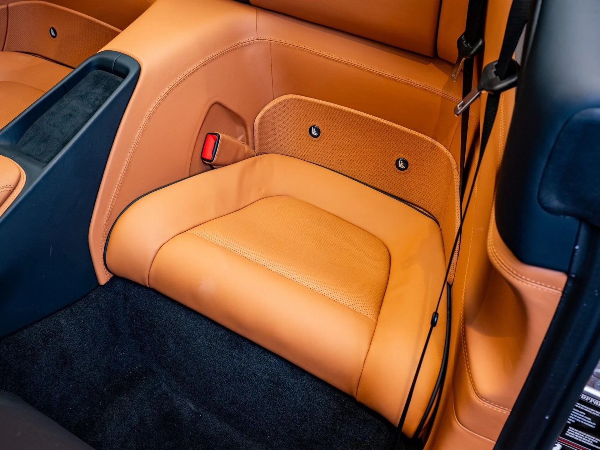 mph013_469772349_14_888200a627