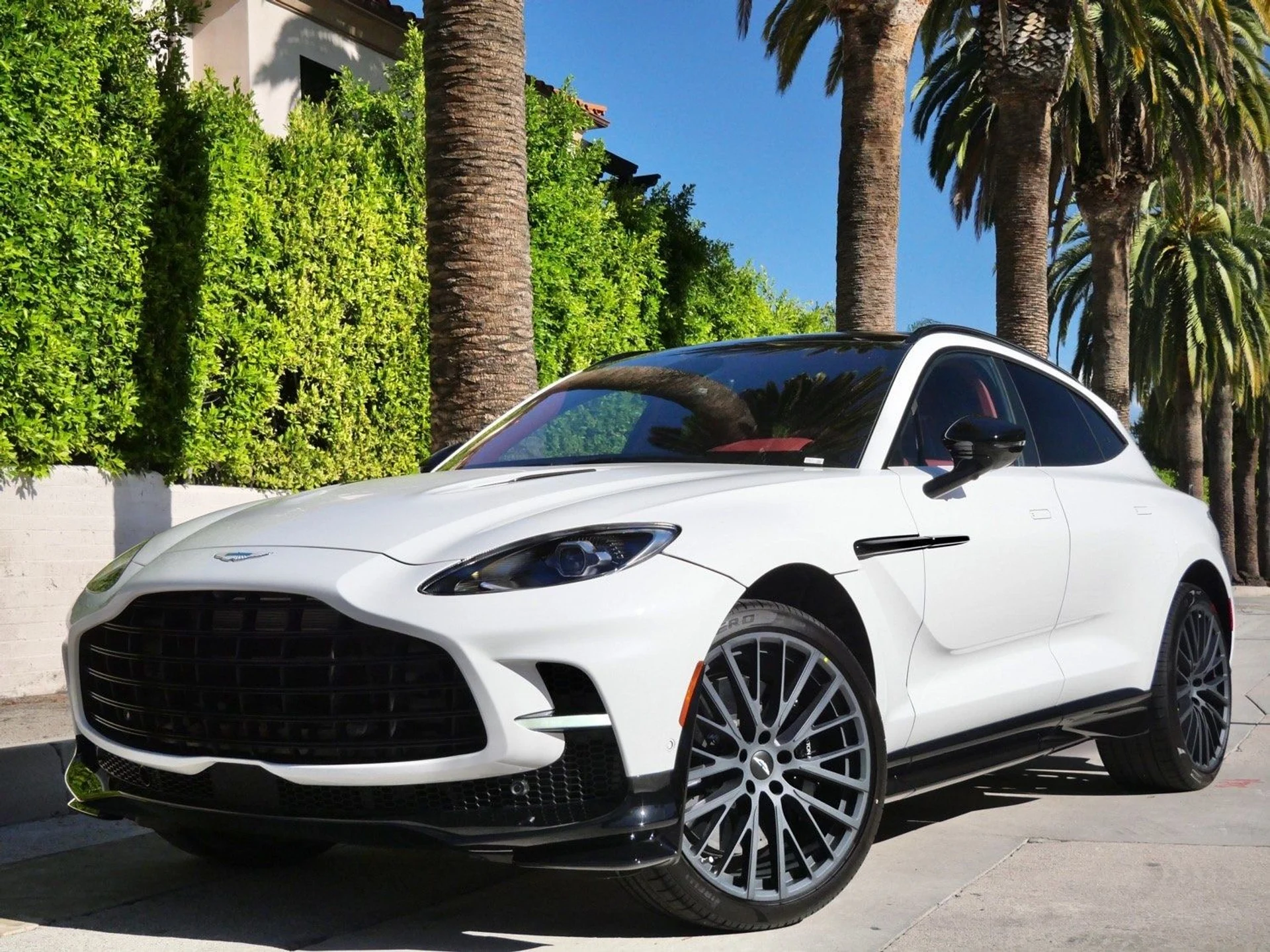 mph013_488210667_b974dba121d5c19fa77bac53b5a4227ax_28ee69b353