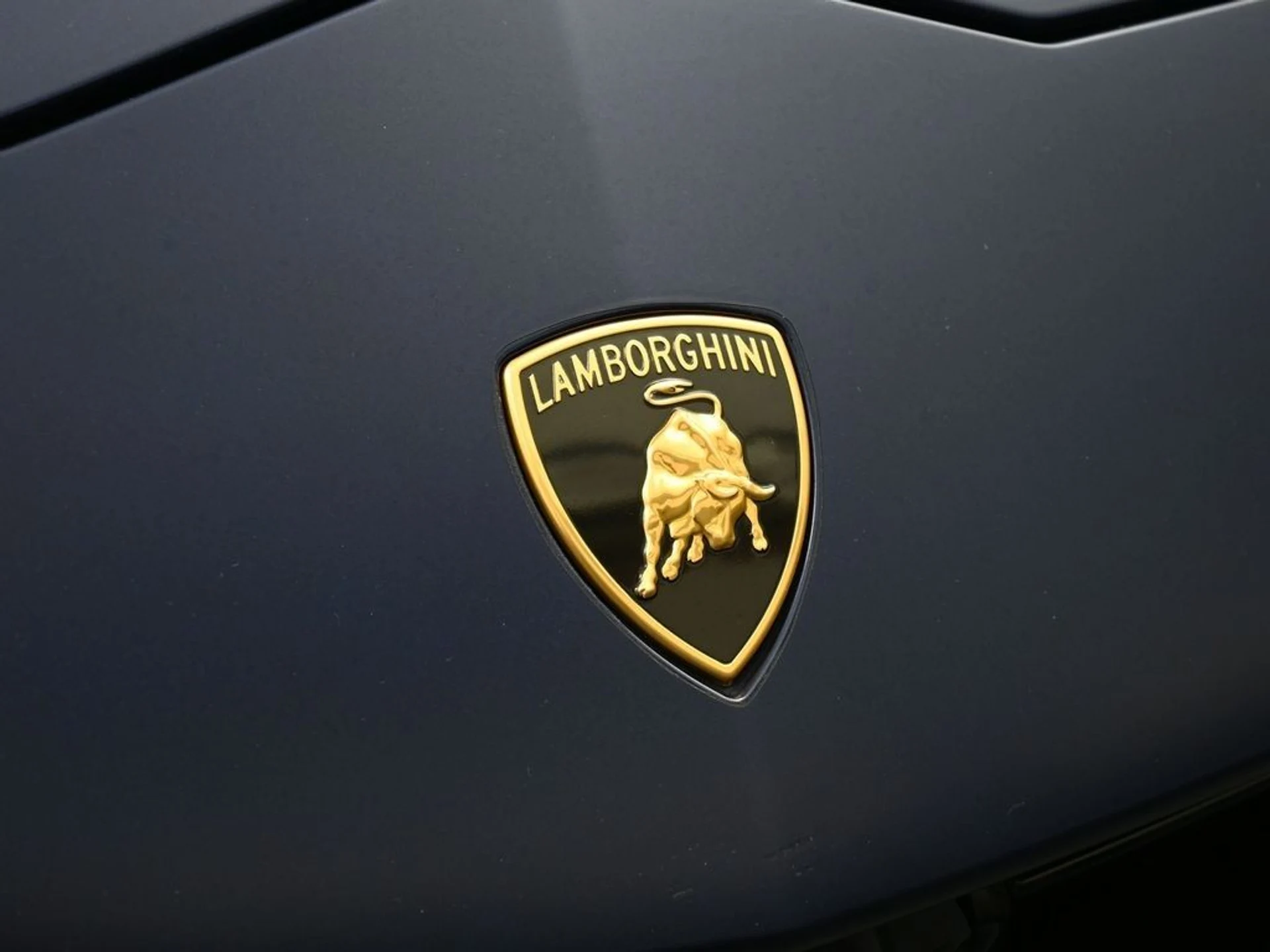 mph013_488383899_image_13_4ba6da9dbf