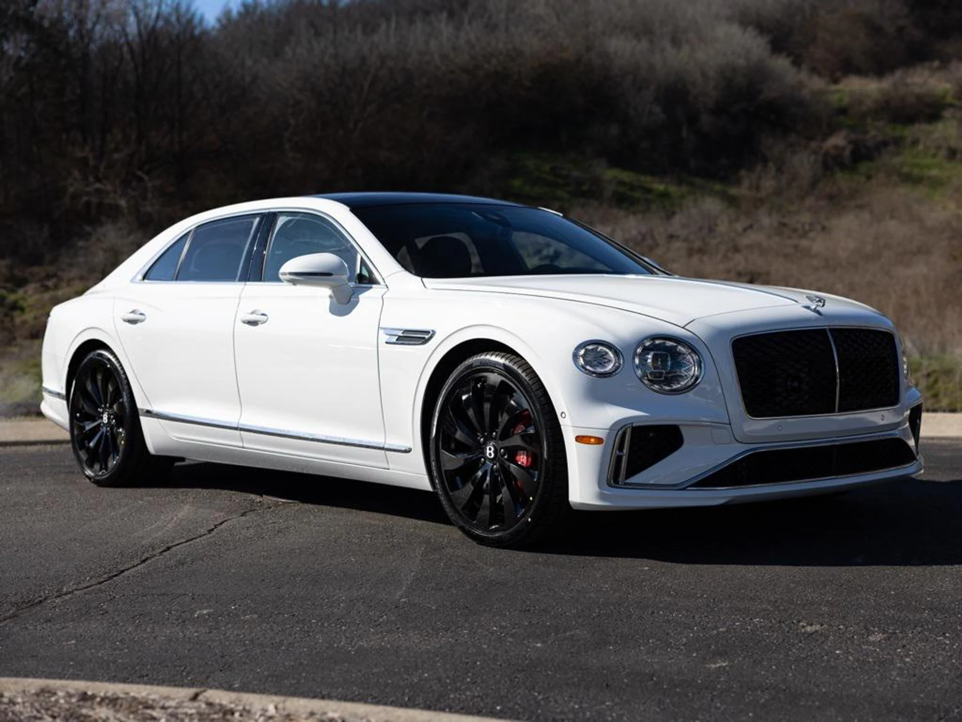 mph013_497404454_489450284_696fa25c247726b502ba2701_2daa806f9a