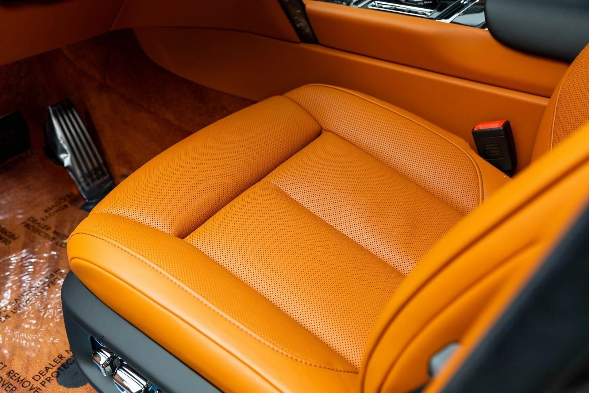 mph013_504879291_14_098d21f92a