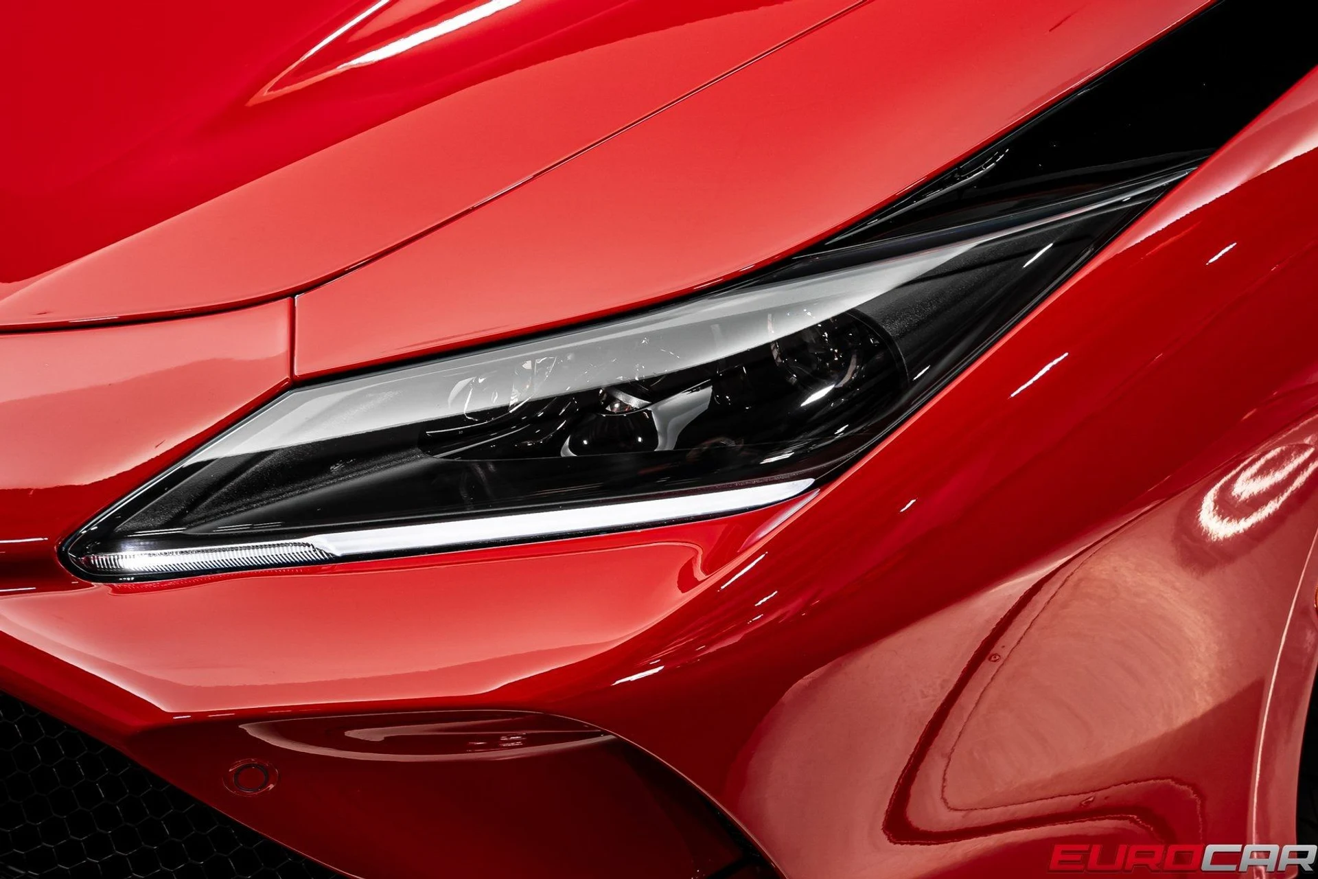 mph013_505847096_image_14_c797aff01f