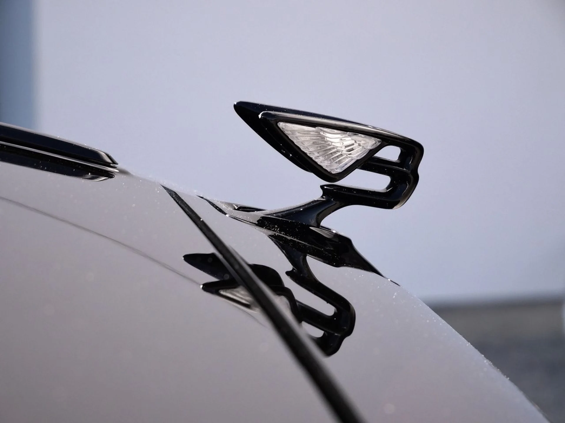 mph013_55332331_020b3fc362fed58c9fa4413908ebef20x_0e4da0d2c8