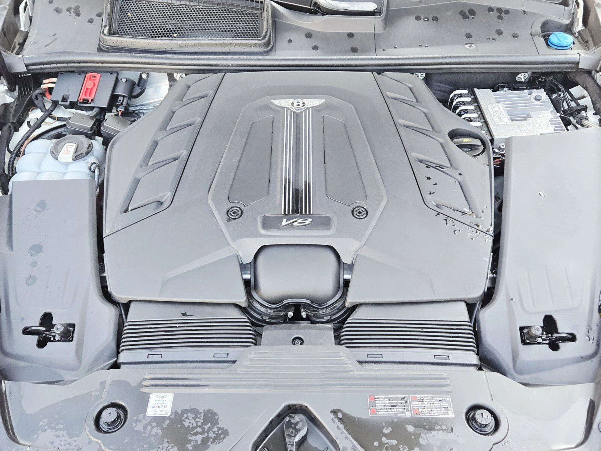 mph013_561678760_d30f99e57d4ed1d5a3c37f52f5d8ee50x_55dc0fc0ec