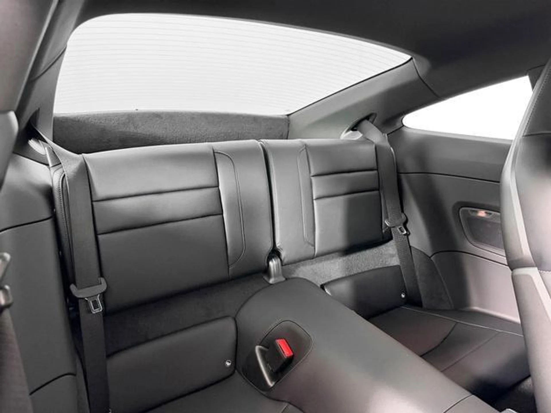 mph013_575613911_ql_Wg_T_2_X2_Mxv_CT_Gpu_Bd3qn9_Y4r4_18580cf08a