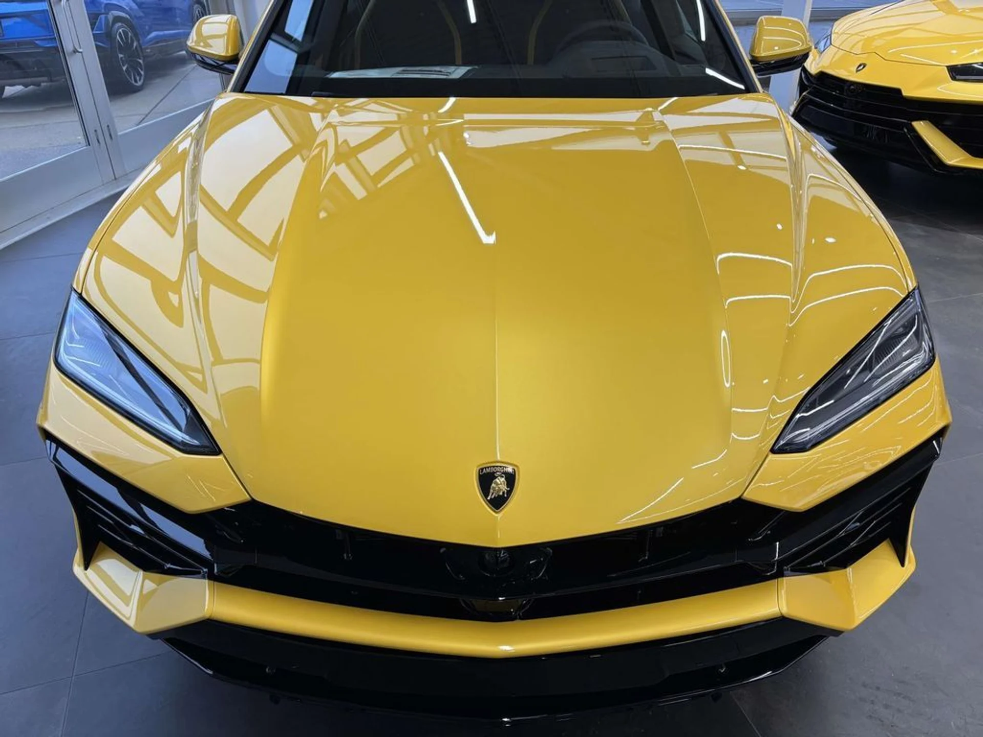 mph013_641616318_6ab3e0565c4dc0dc9d8e71e9c49ac7c6x_6e0c76a7a1