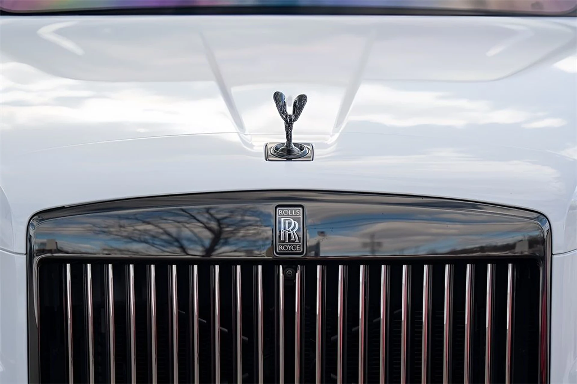 mph013_660512631_image_15_1b55a40b61