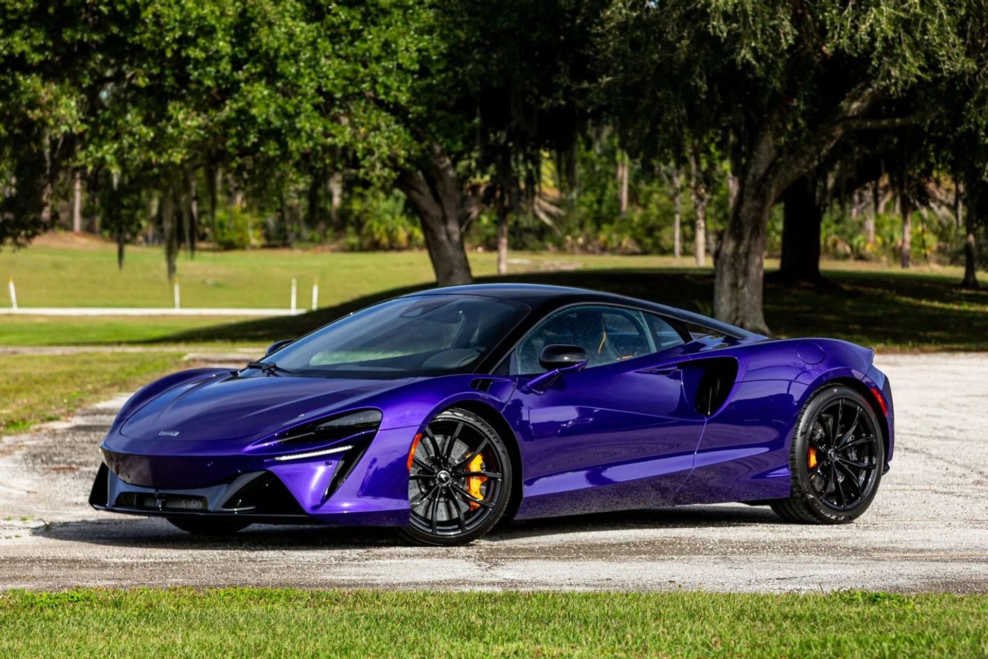 mph013_676188341_362_p14_l_cb95ee202e