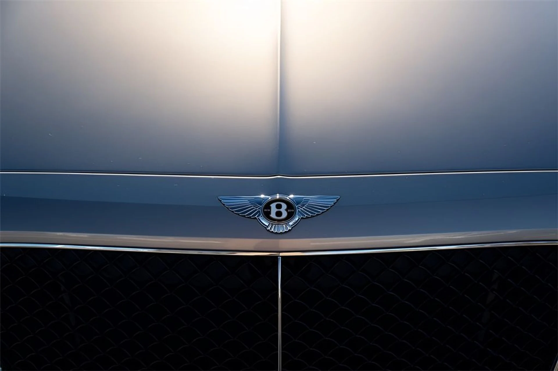 mph013_702782480_image_15_d2d751e4f9