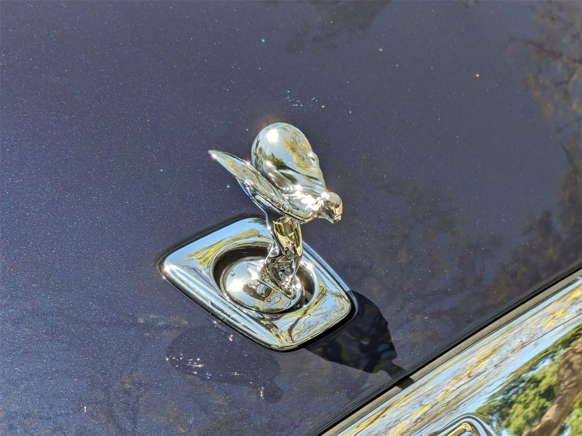 mph013_750097684_b4d3629e7ff58596804cd2b37234c0c1_b595f6999d