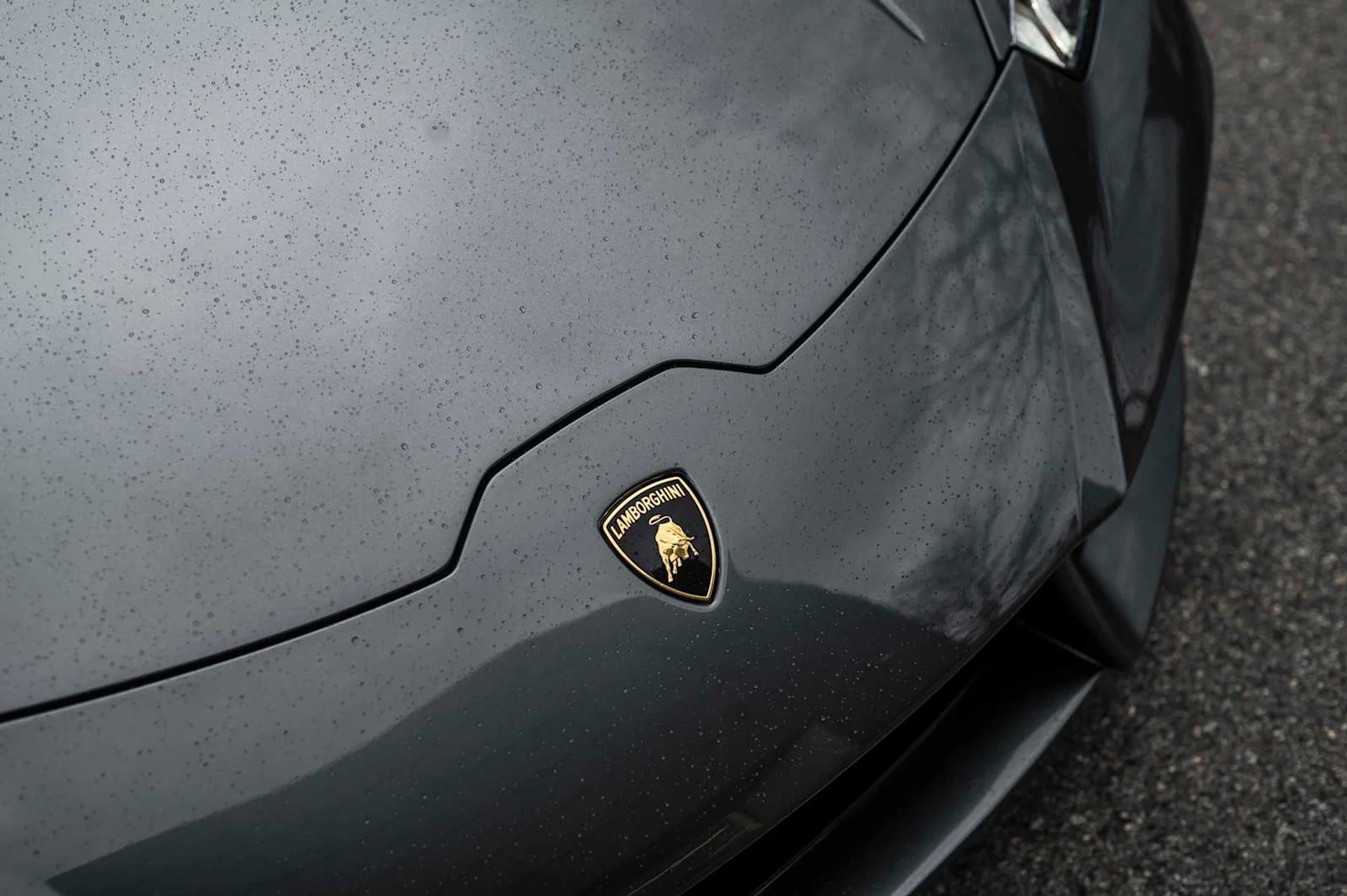 mph013_76522971_c805200a71b1b17bea416ba5522167e5x_fb4497bc07