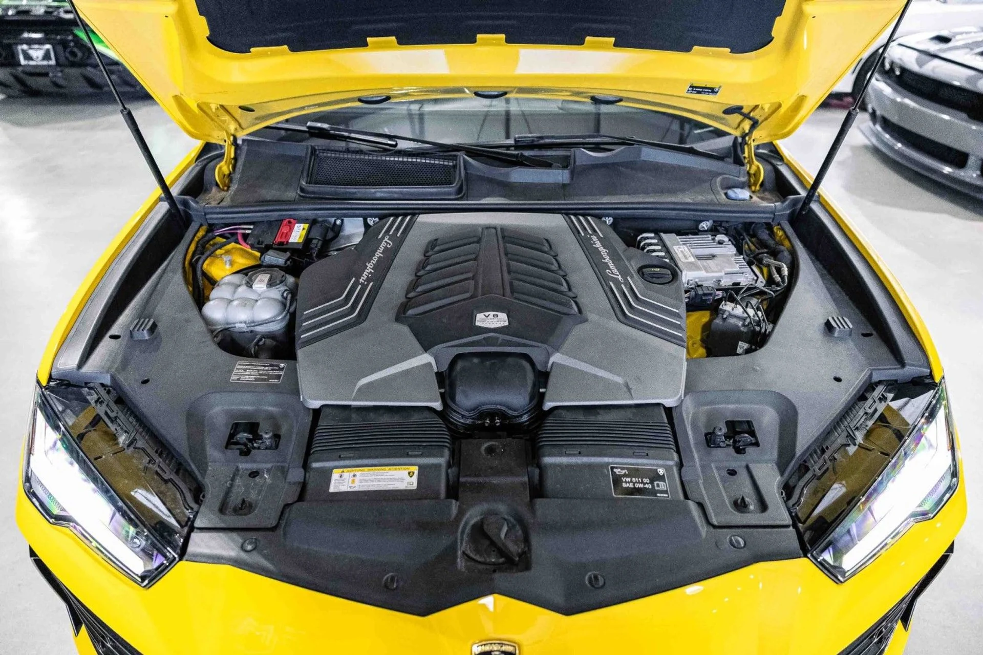 mph013_826603847_WQ_cd07c0d6ca