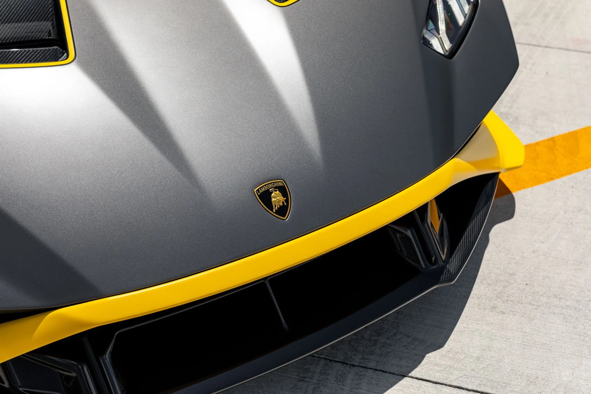 mph013_854188280_524_p14_l_dd368c5e8a