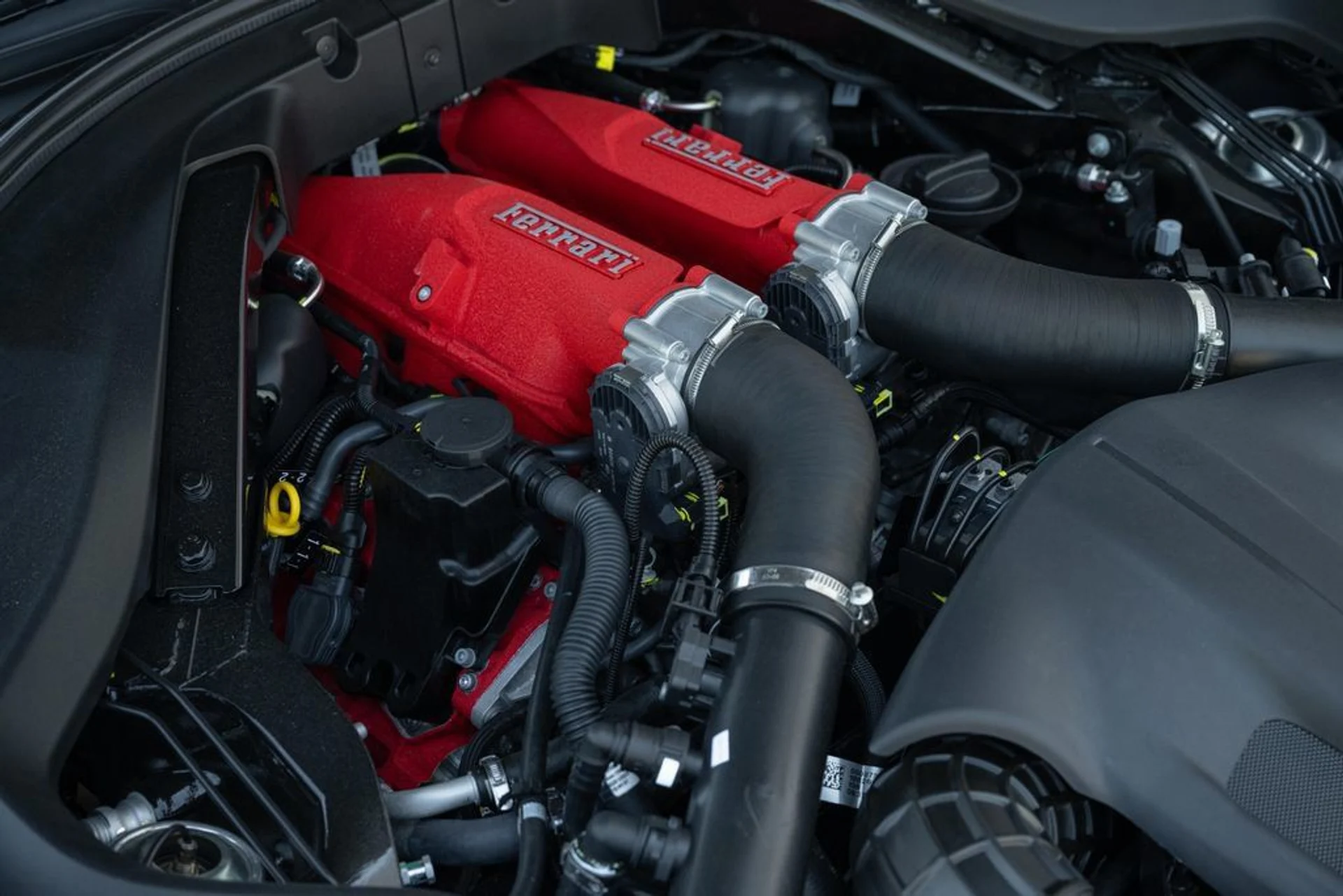 mph013_891695776_69548b76ad304a01870bffb2707f660f_301db00738