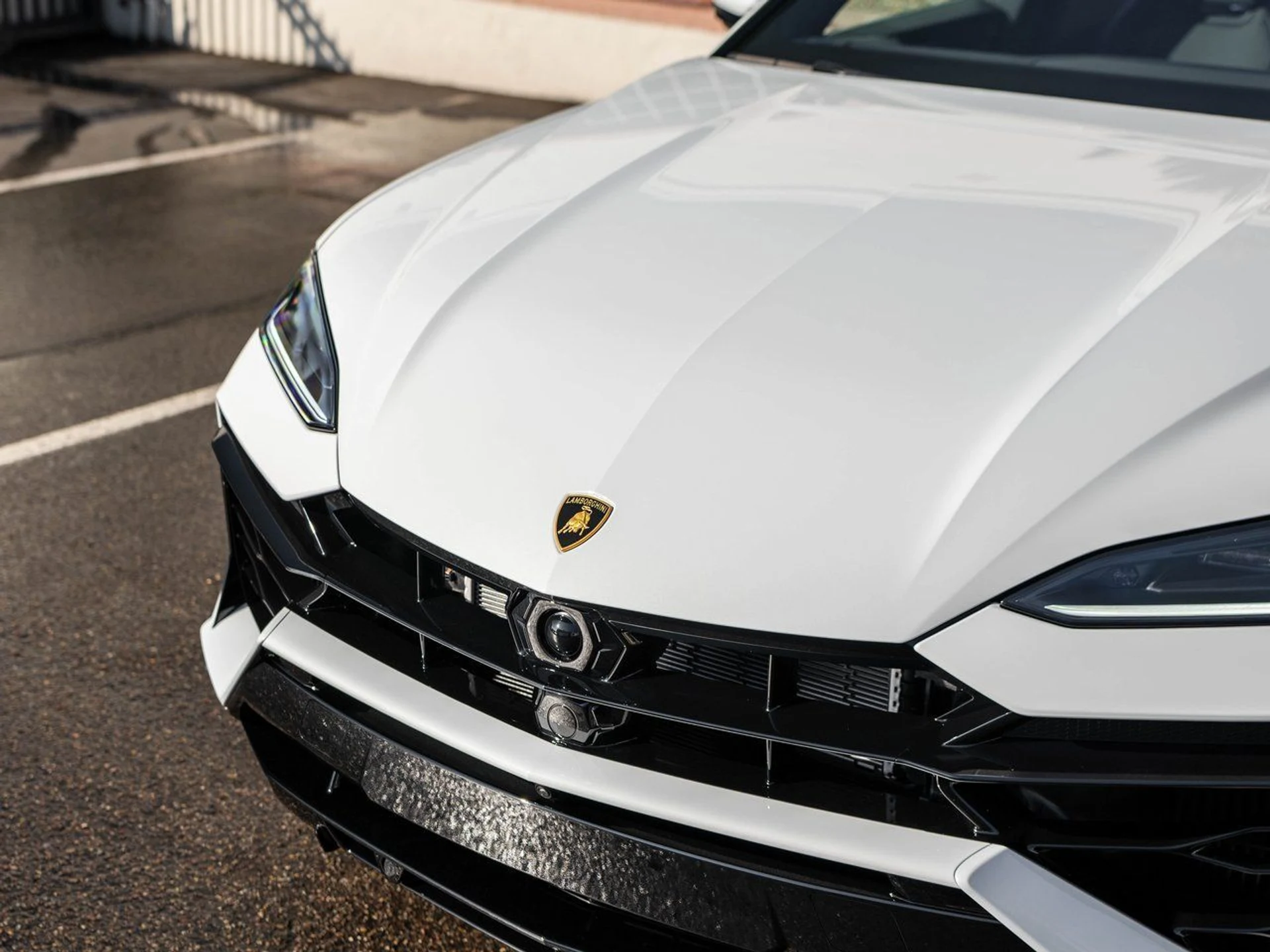 mph013_961256001_e96a43a64007382bf224b89175424bb7x_e90e05899a