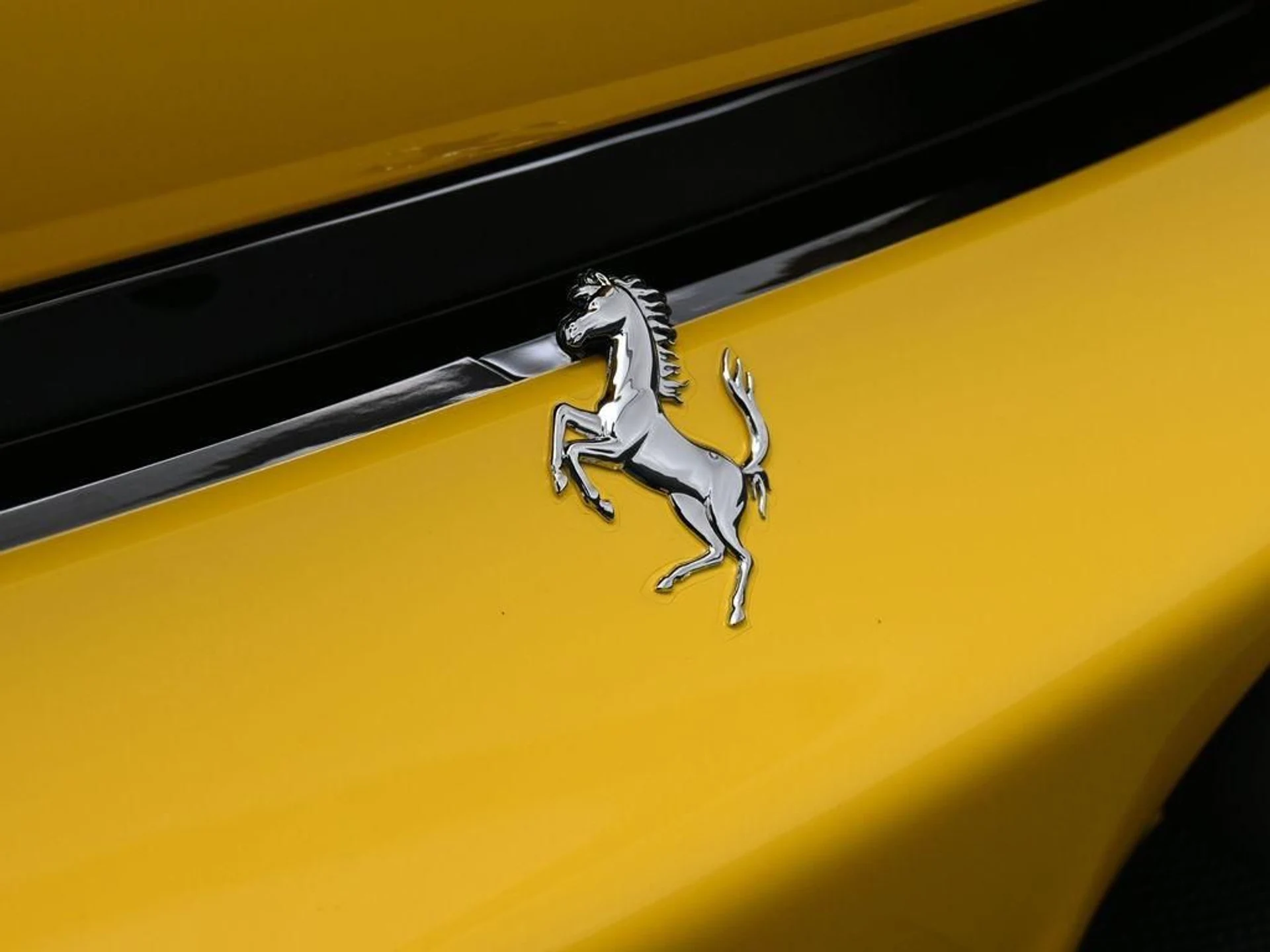 mph014_1241823948_488076621_6963e2aeb23fab9aa2f63d44_108eec222b